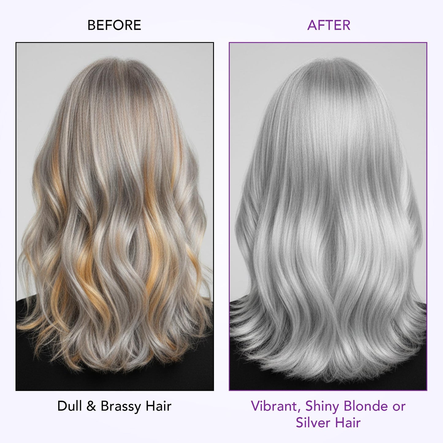 Botanic Hearth Purple Shampoo And Conditioner Set | For All Shades Of Blonde, Silver And Gray Hair | Enhances Highlights | Sulfate Free, Paraben Free Beauty and Personal Care Botanic Hearth