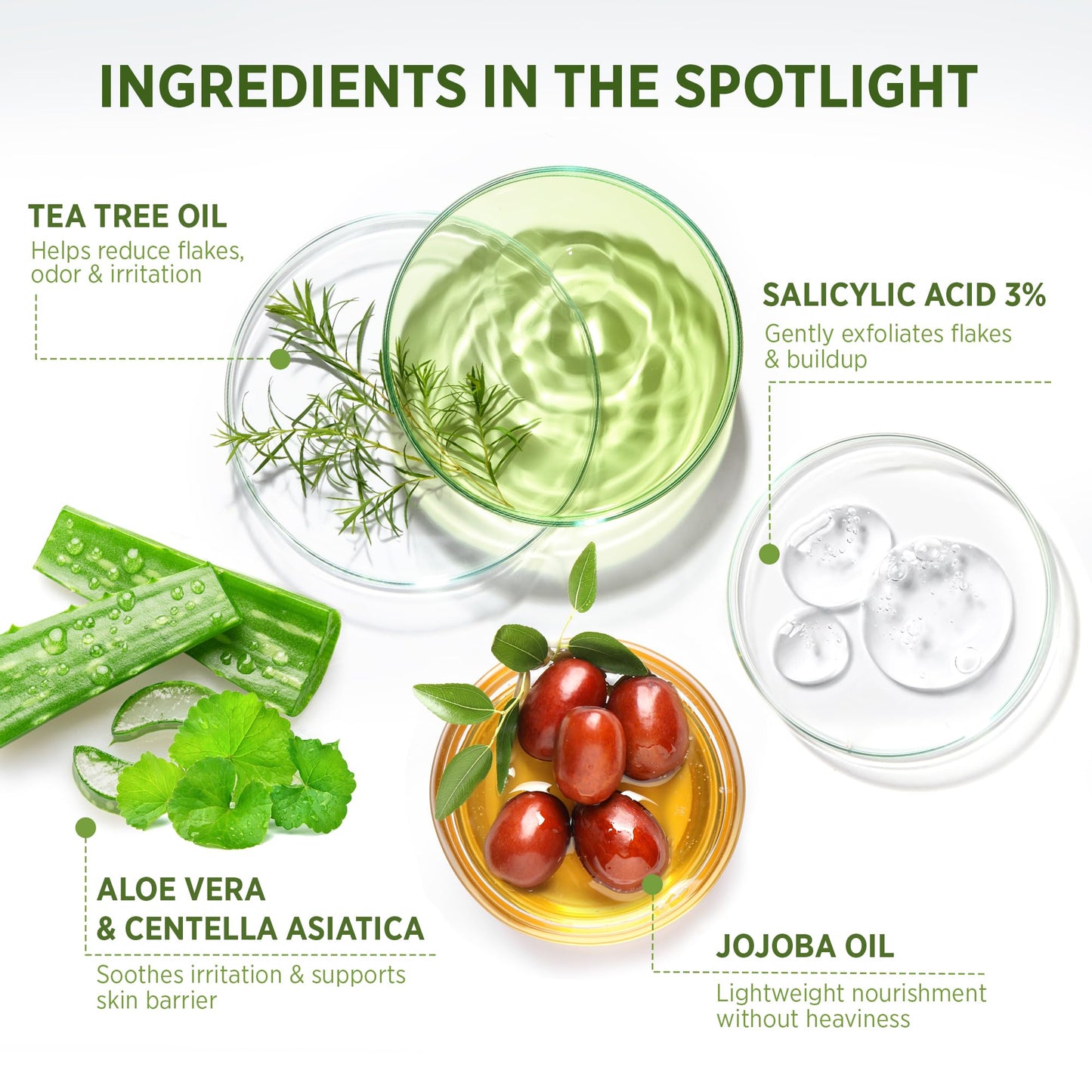 Roycederm Tea Tree Therapeutic Set: Shampoo, Conditioner & Body Wash