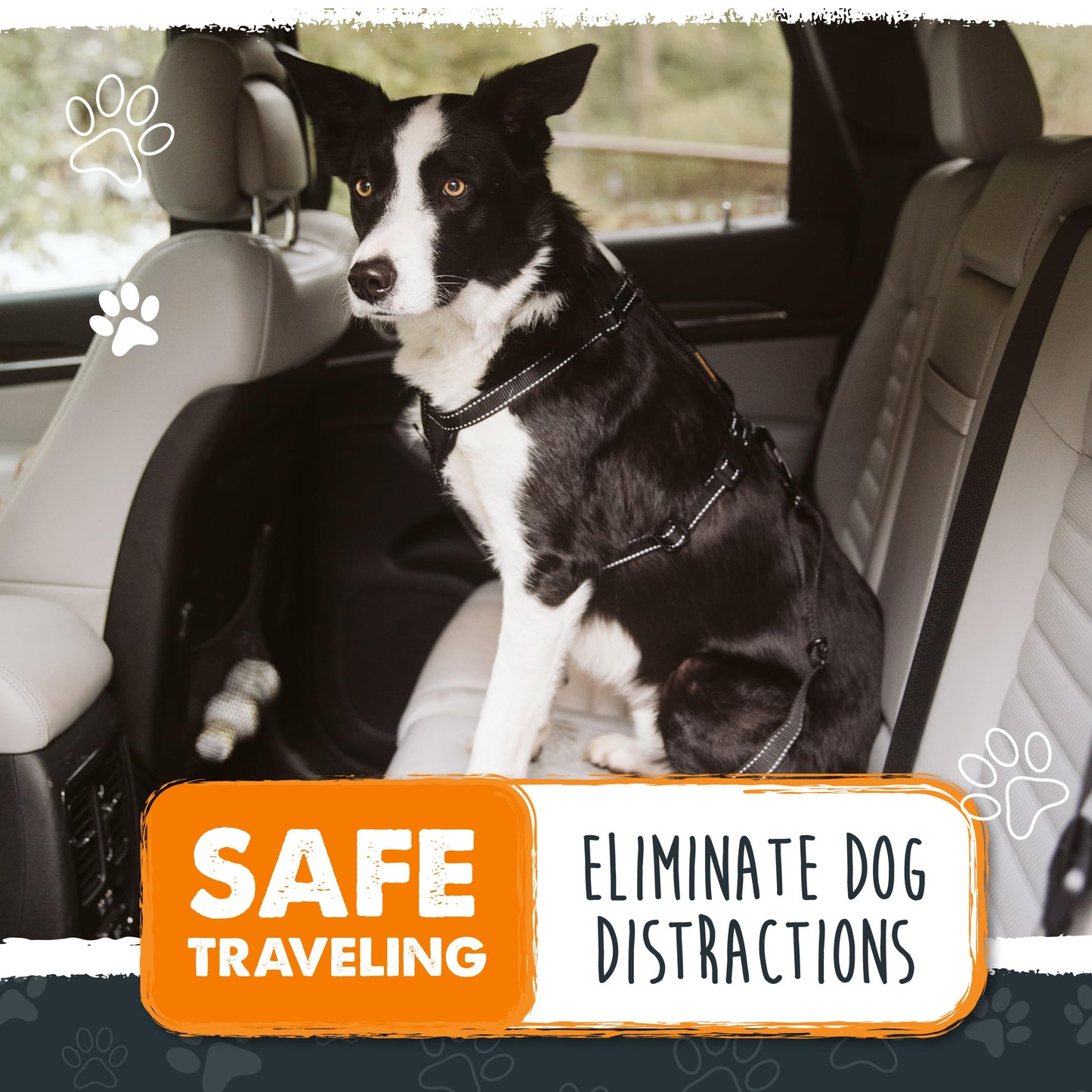 Mighty Paw Dog Seat Belt for Car – Heavy-Duty, Adjustable with Aviation Grade Aluminum Carabiner, Ensures Safe, Distraction-Free Driving for All Pet Sizes
