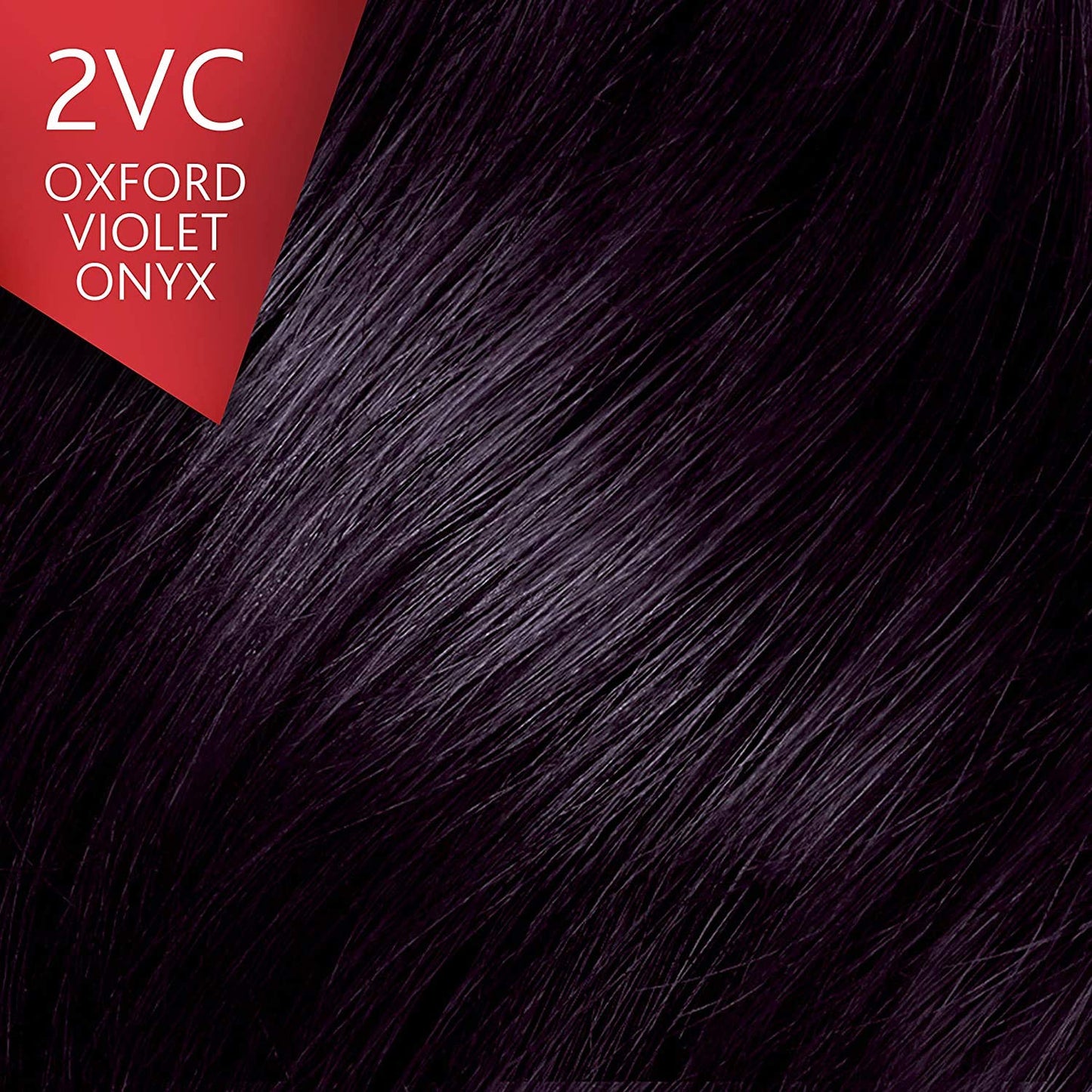 Vidal Sassoon Pro Series Permanent Hair Dye, 5WN Medium Chocolate Brown Hair Color, Pack of 1