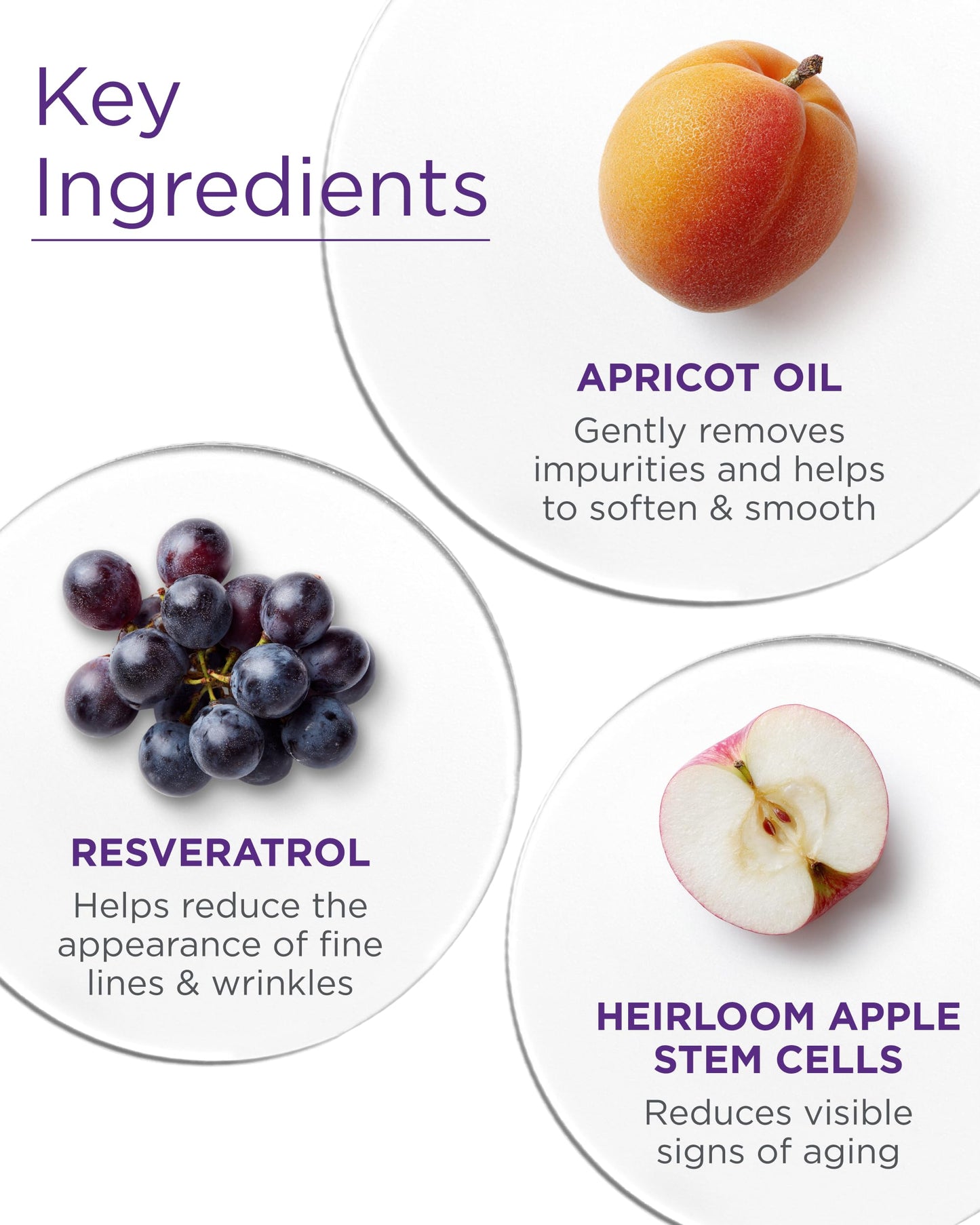 Andalou Naturals Cleaning MLK Apricot