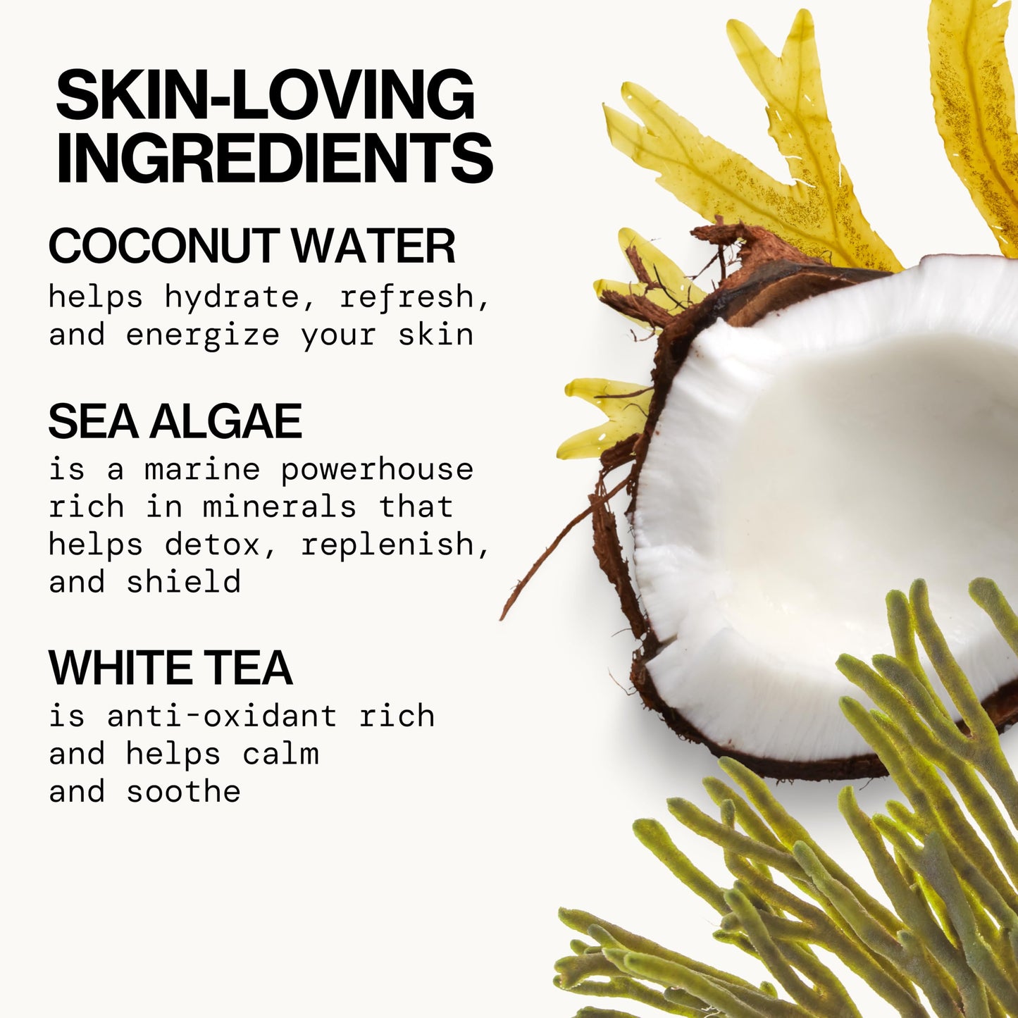 Pacifica Beauty Sea Foam Face Wash, Daily Gentle Foaming Cleanser, With Coconut Water + Sea Algae, Removes Makeup, For Combination and Oily Skin