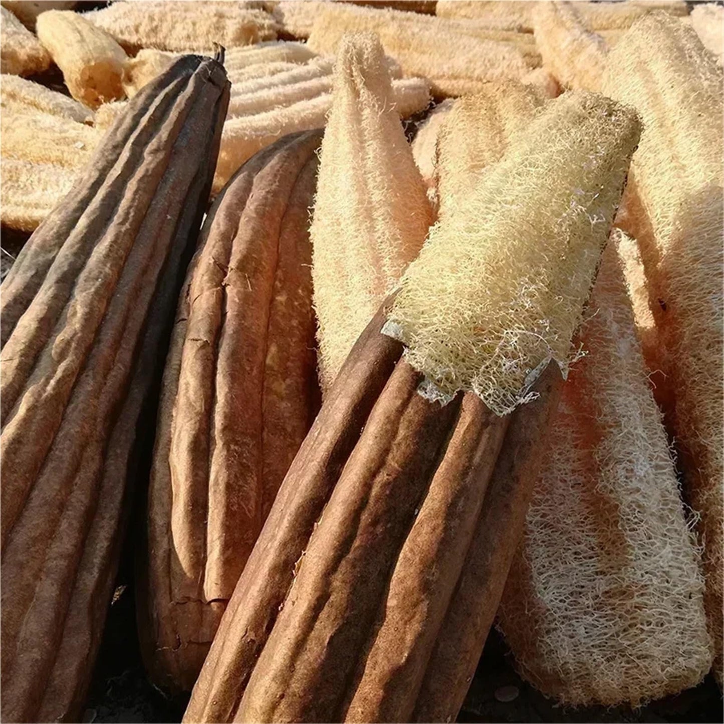 2PCS Natural Full Loofah Sponge Non-Stick Long Dishwashing Artifact Ecological Planting Good Absorbency Pot Brush Bath Kitchen(2PCS(30-39cm)) Beauty and Personal Care HIVJEEDYH