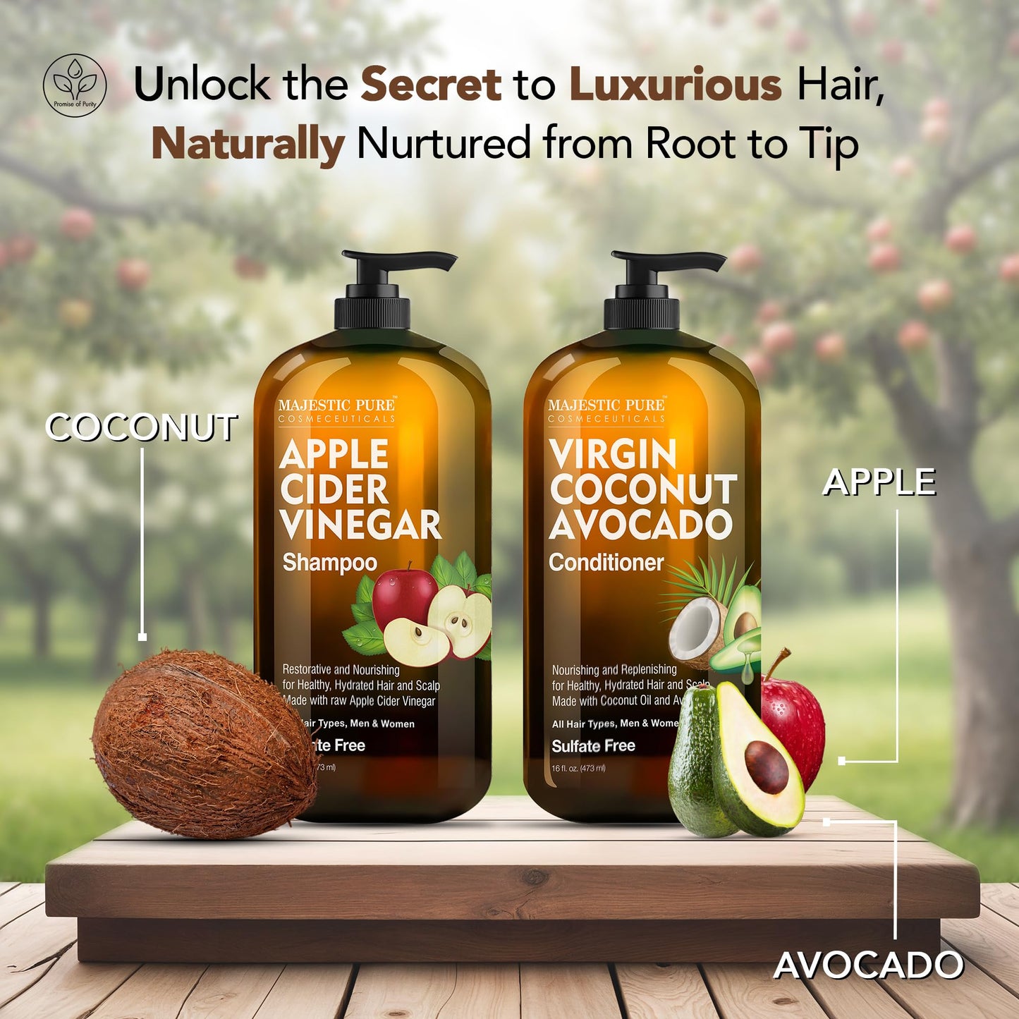 MAJESTIC PURE Apple Cider Vinegar Shampoo and Avocado Coconut Conditioner Set - Restores Shine & Reduces Itchy Scalp, Dandruff & Frizz - Sulfate Free