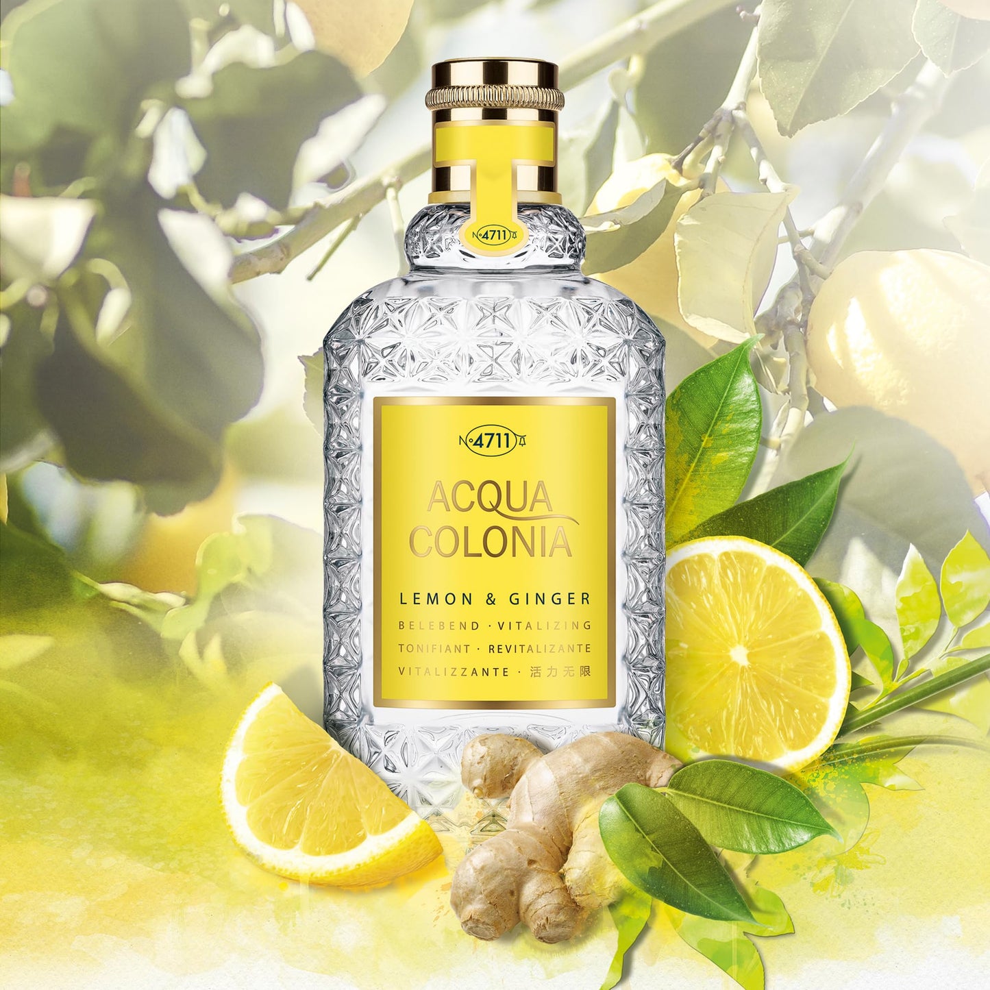 4711 Acqua Colonia Lemon and Ginger Eau de Cologne Spray for Women, 1.7 Ounce
