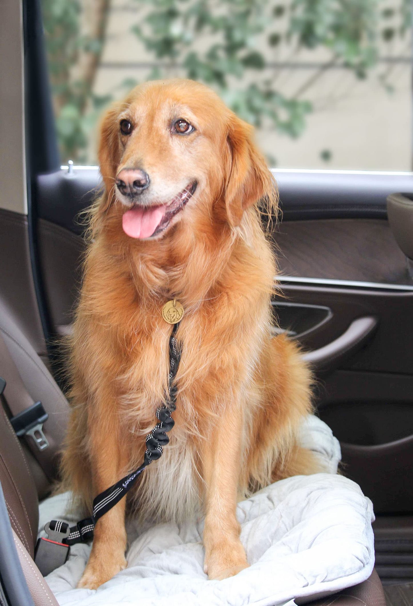 2 Pack Adjustable Dog Seat Belts – Nylon Pet Safety Car Harness with Elastic Bungee, Reflective & Durable Design for Vehicle Travel
