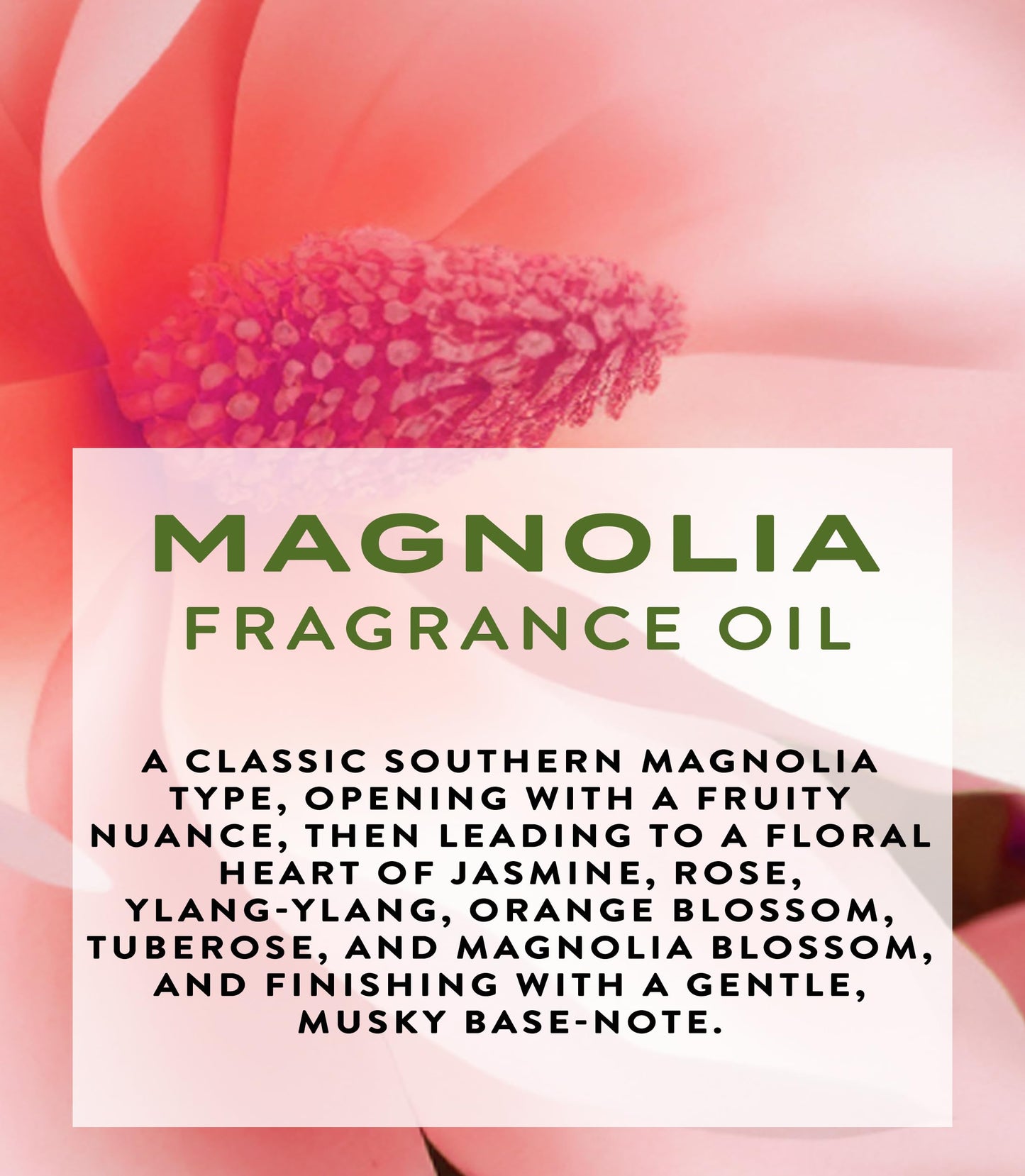 Botanical Beauty MAGNOLIA FRAGRANCE OIL ROLL-ON 0.169 Fl Oz 5 ml Rollerball Perfume, Long Lasting an luxury scent of blend of Jasmine, Rose