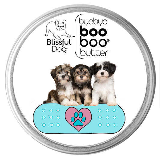 The Blissful Dog Havanese Boo Boo Butter, 1-Ounce Beauty and Personal Care The Blissful Dog
