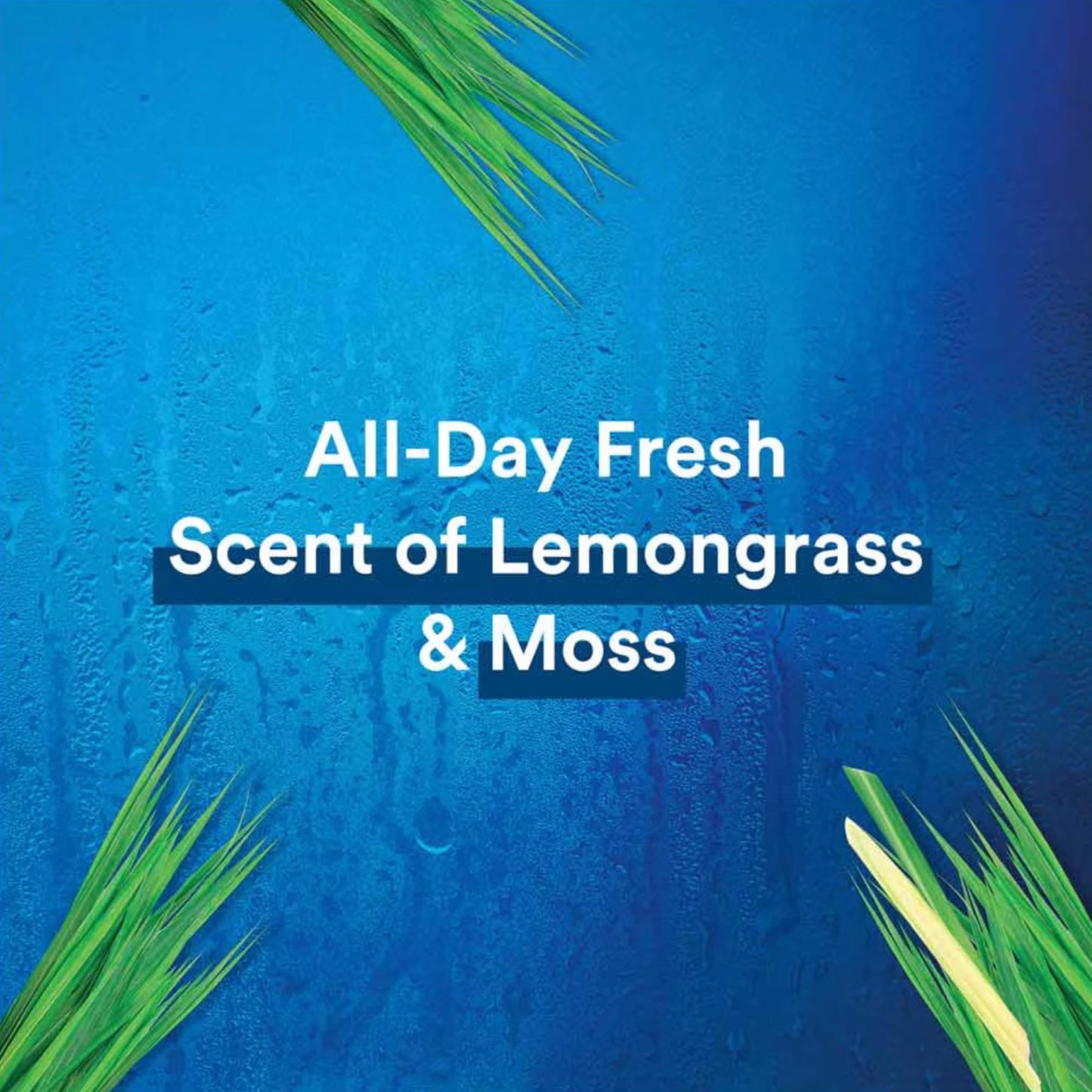 Sensitive Skin Body + Face Wash