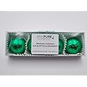 SPAPURE Wellness Collection Eucalyptus Spearmint - (4-Pack) Aromatherapy Fizzing Shower Bombs by Spa Pure