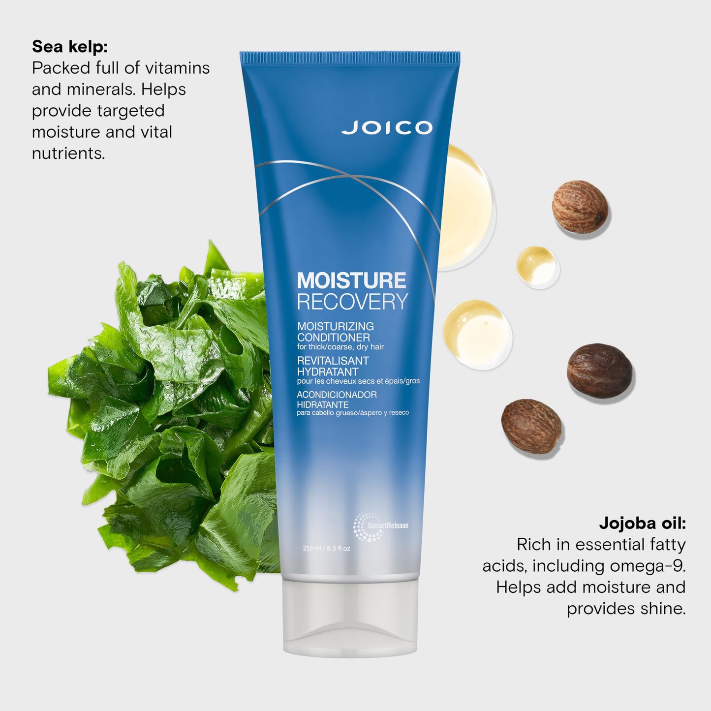 Joico Moisture Recovery Moisturizing Conditioner | For Thick, Coarse, Dry Hair | Restore Moisture, Smoothness, Strength, & Elasticity | Reduce