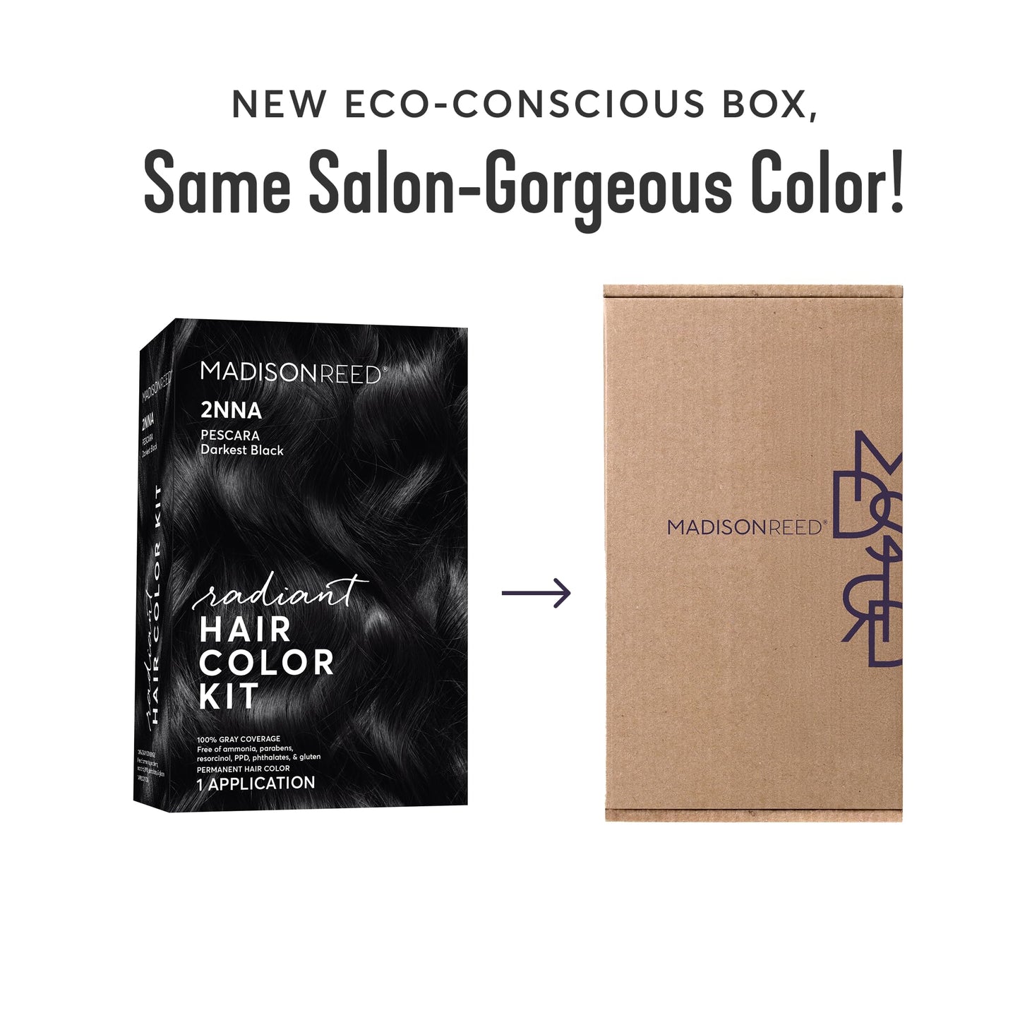 Madison Reed Radiant Hair Color Kit - 2NNA Darkest Cool Black with Ash Undertones (Pescara Black), Dimensional Gray Hair Blending Permanent Hair Dye
