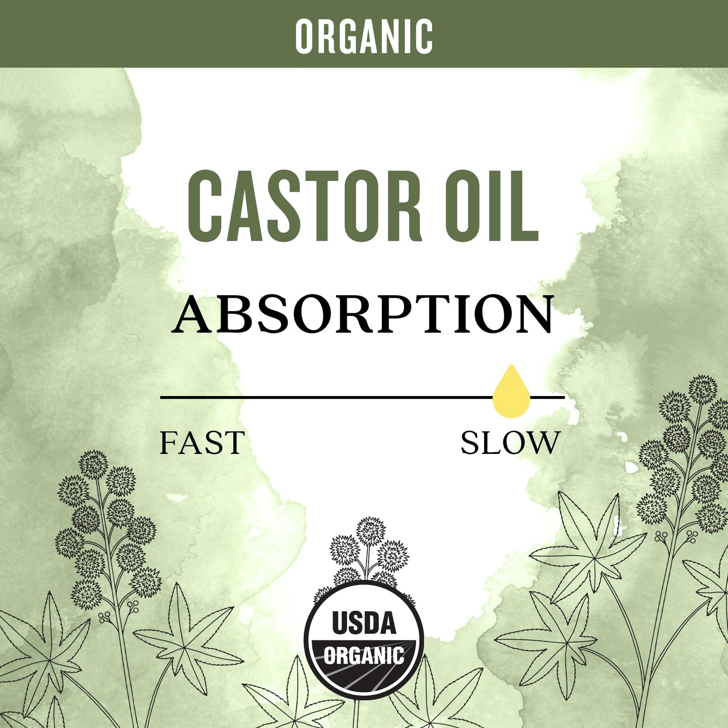 Aura Cacia Organic Castor Oil 1 fl. oz.