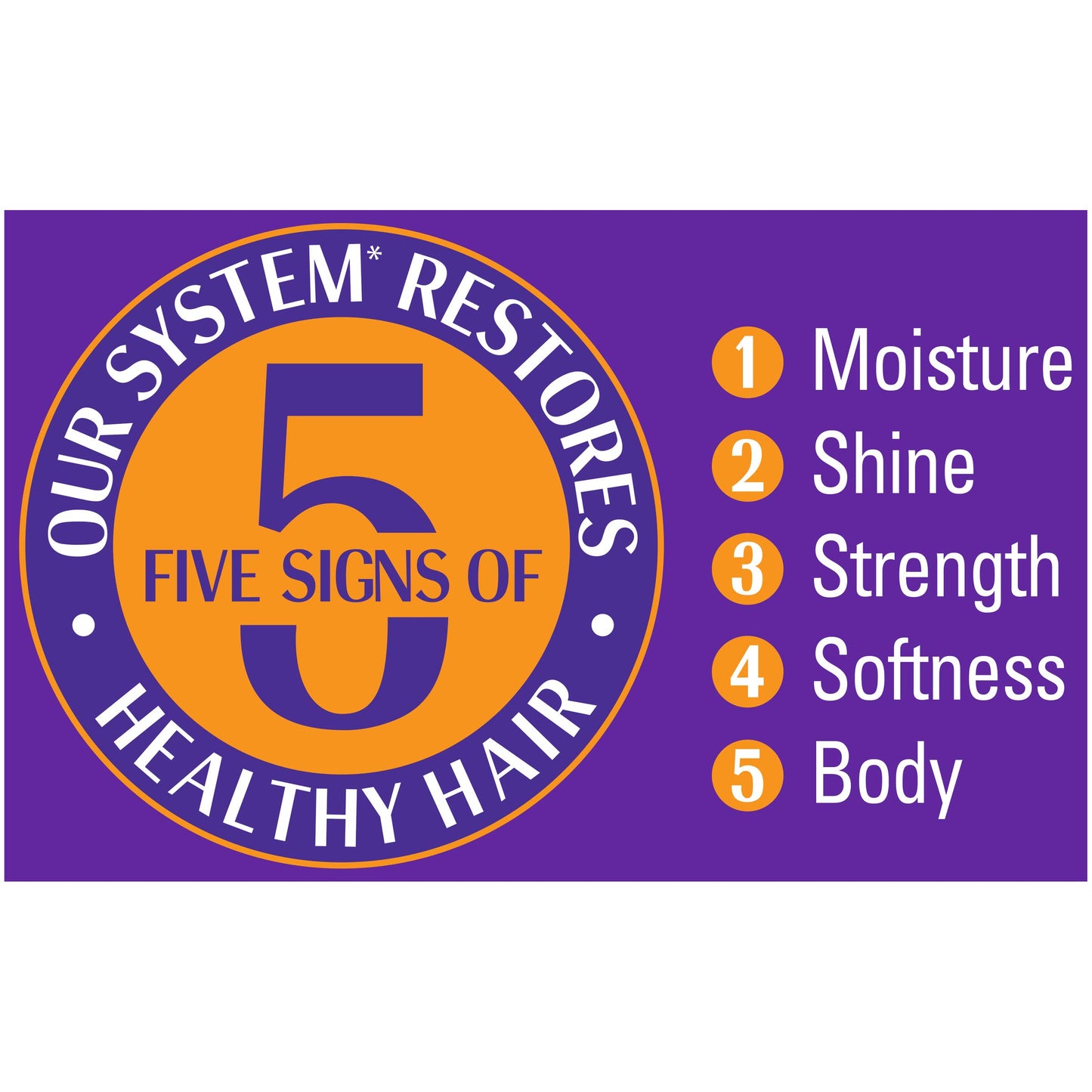 SoftSheen-Carson Dark and Lovely Healthy-Gloss 5 Moisture Leave In Treatment, 8.5 fl oz