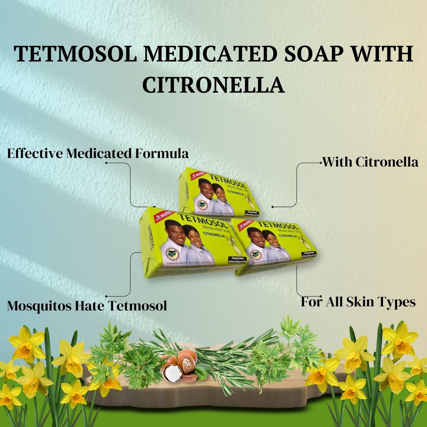 iAdaptit Tetmosol Medicated Soap With Citronella - For Most Skin Types (3) Beauty & Personal Care iAdaptit