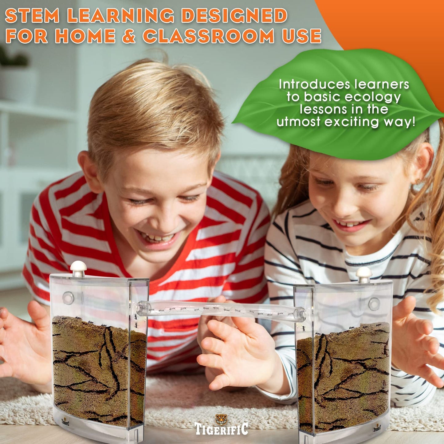 Tigerific Ant Farm – Live Ant Colony Kit with Real Sand, Fun Science Habitat for Kids, Watch Ants Dig Tunnels, Carry Food & Explore