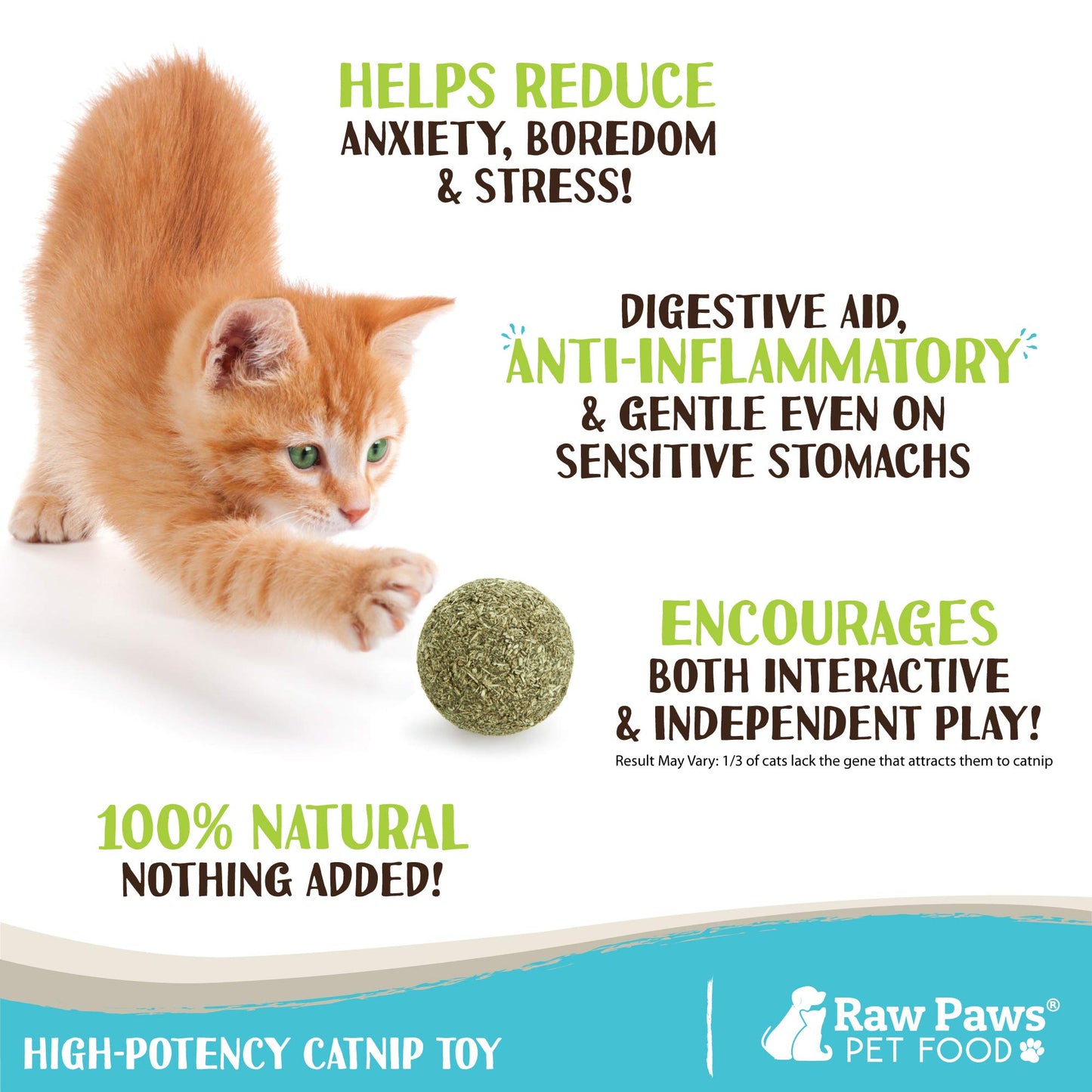 Raw Paws Catnip Balls for Cats, (6-Count) - Interactive Cat Toy for Indoor Cats - Cat Nip Licking Balls