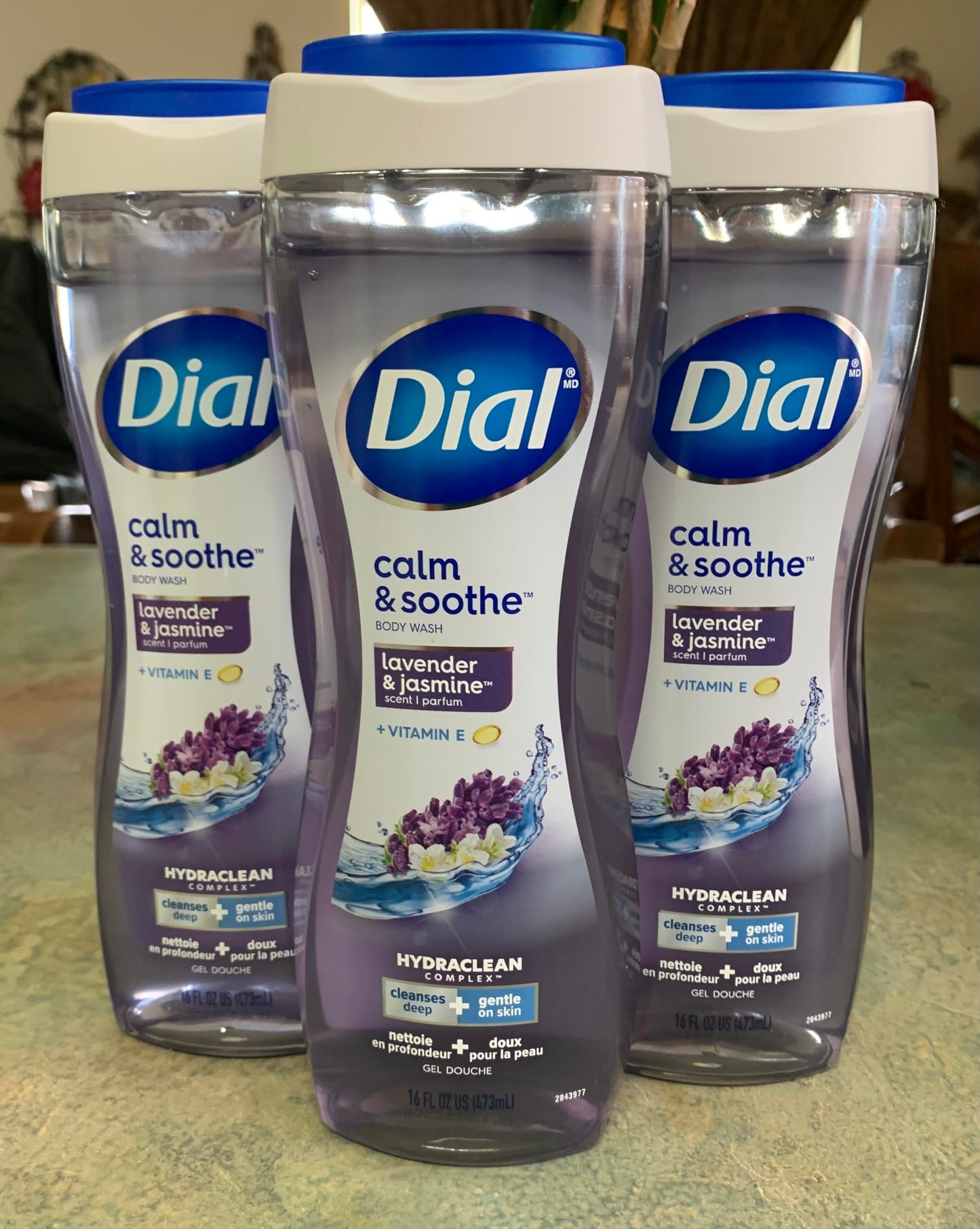 Dial for Men Body Wash, Odor Armor, 16 Ounce (Pack of 3)