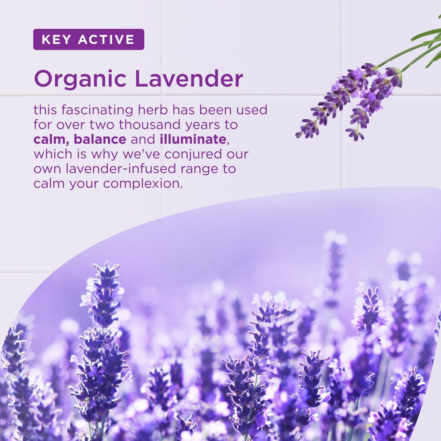 Dr Organic Lavender Deodorant Beauty and Personal Care Dr. Organic