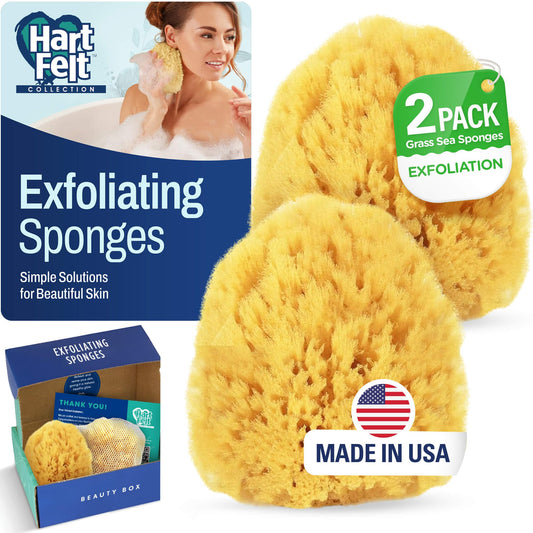 HartFelt Exfoliating Grass Sea Sponge Beauty Box - 2 Bath Sponges for Shower Women & Men 4in - Natural Sponge with Mesh Bag for Cleaning & Drying Beauty and Personal Care HartFelt