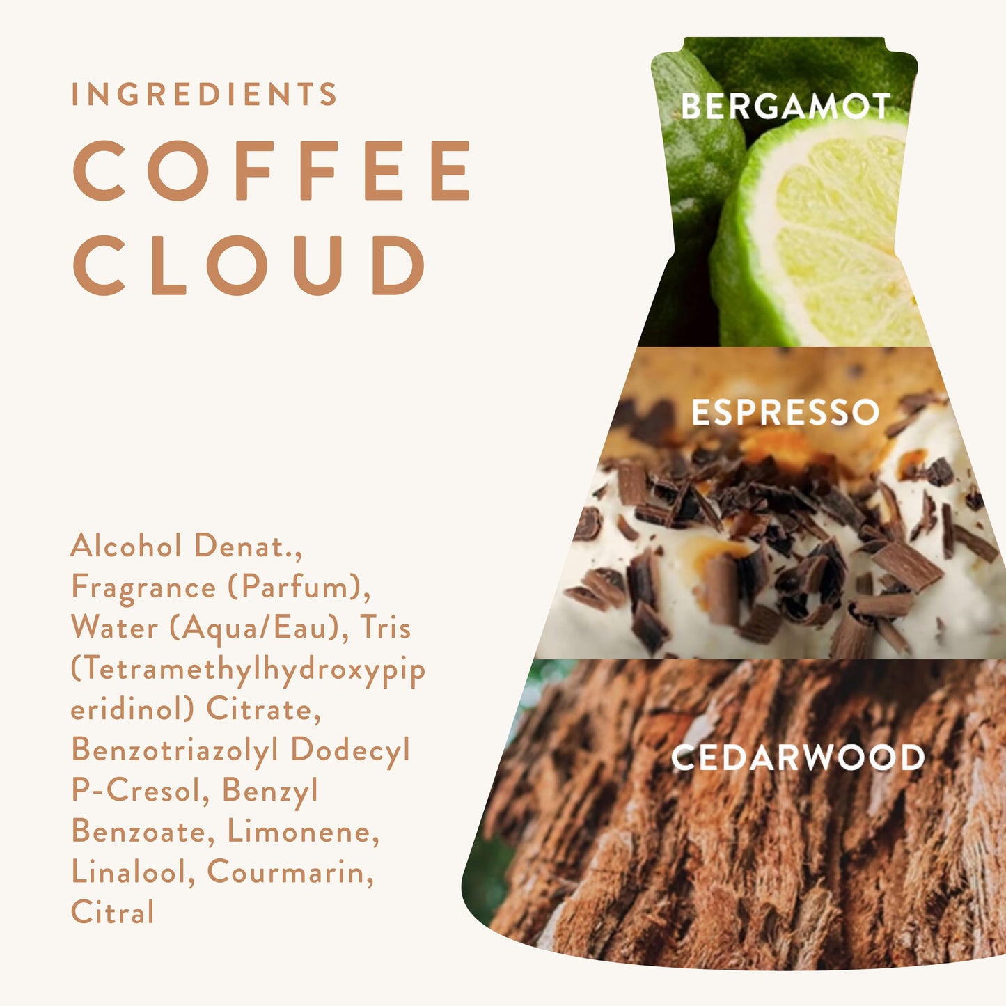 Good Chemistry Coffee Cloud Eau de Parfum 1.7 fl oz - Long-Lasting Perfume with Bergamot, Espresso, & Cedarwood - Balanced, Clean & Vegan