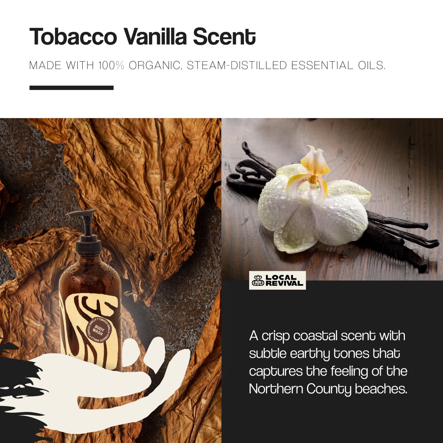 Local Revival Tallow and Honey Body Wash - Tobacco Vanilla - Beef Tallow with Honey, Olive Oil, Shea Butter and Jojoba Oil - Moisturizing Body Wash