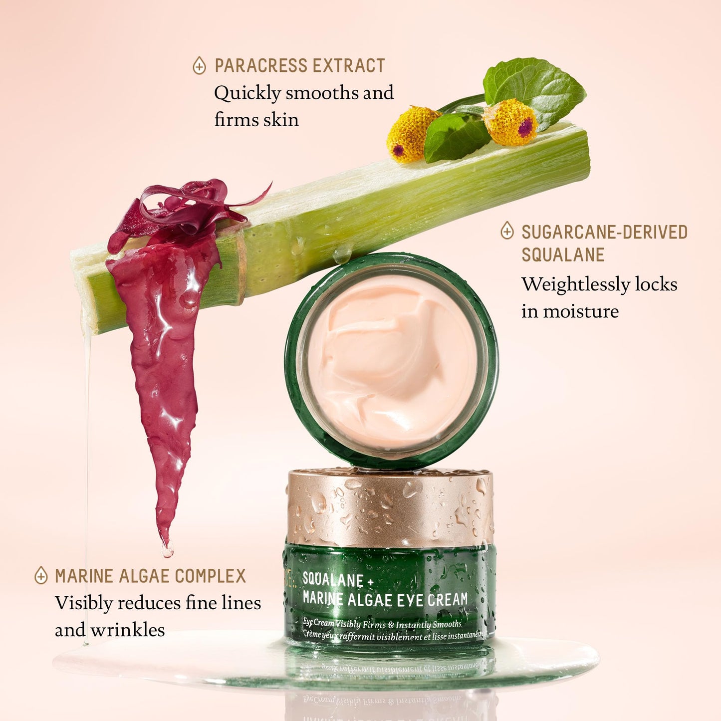 BIOSSANCE Squalane and Marine Algae Eye Cream - Anti-Aging Under Eye Cream for Fine Lines, Wrinkles, and Puffiness - Hydrating & Lifting Formula
