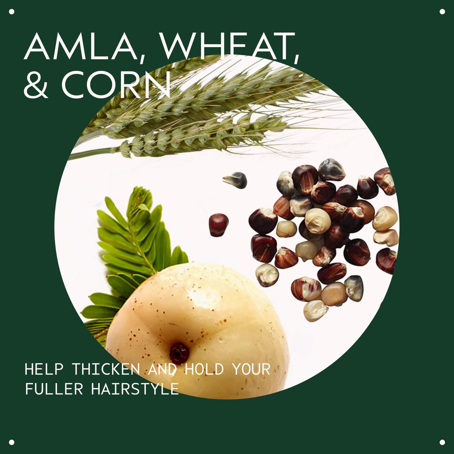 Aveda Thickening Tonic | Instantly Thickens Hair | Spray for Thin and Fine Hair | with Wheat, Corn, and Certified Organic Amla | 96% Naturally Beauty and Personal Care Aveda