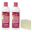 Bath & Body Works Costa Rica Pink Pineapple Sunrise 2 Pack Moisturizing Conditioner Bundle with a Natural Oats Sample Soap