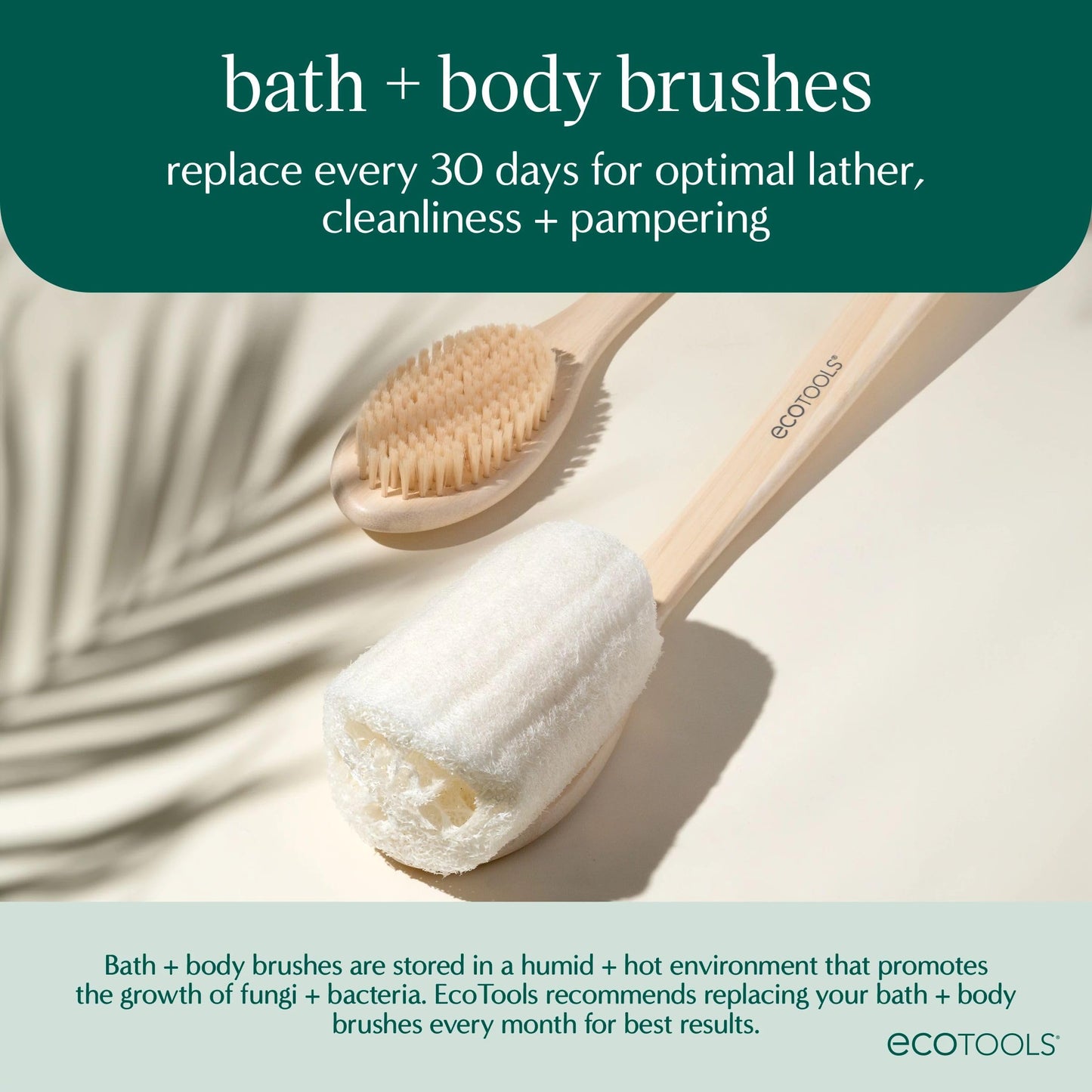 EcoTools 2-in-1 EcoPouf Bath Brush, Loofah Brush for Bath & Shower, with Long Handle & Recycled Netting for Cleansing & Exfoliating, Back Brush