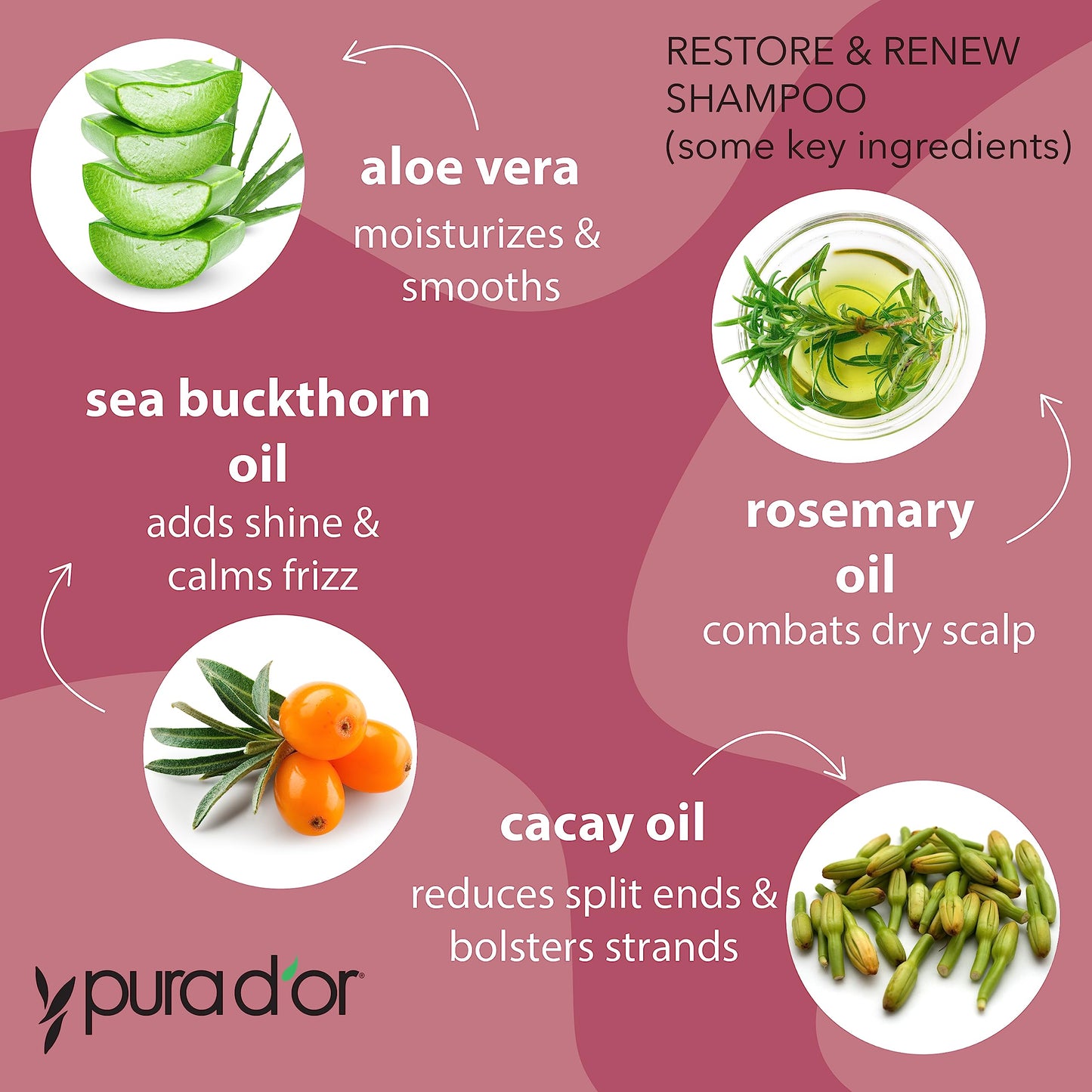 PURA D'OR Restore & Renew Shampoo and Conditioner Set for Strong, Healthy, and Nourished Hair with Organic Aloe Vera, Rosemary, Sea Buckthorn, Cacay