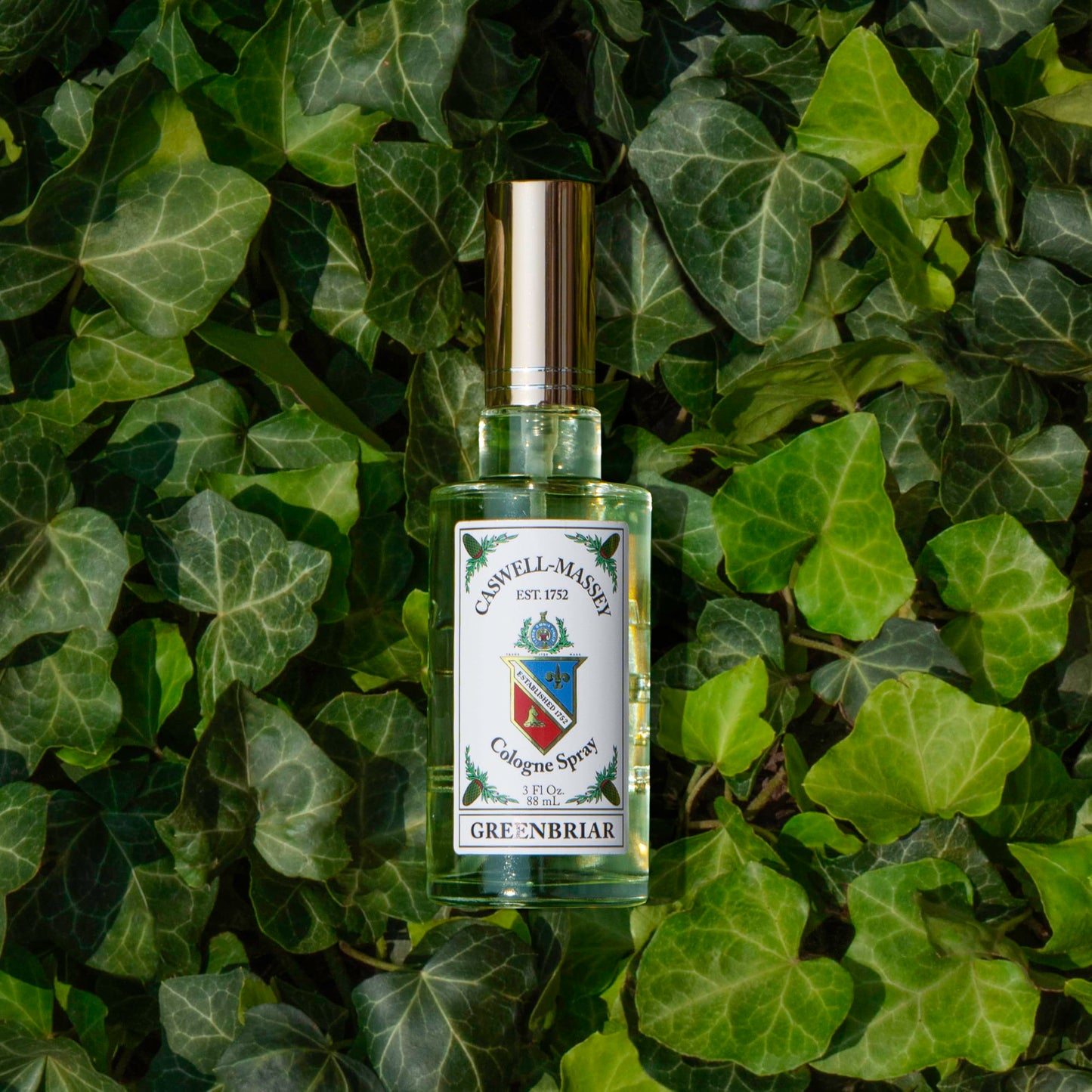 Caswell-Massey Greenbriar Cologne, Men’s Cologne with Classic and Zesty Scent with Citrus, Sage & Rugged Velvety Notes, 3 Fl Oz