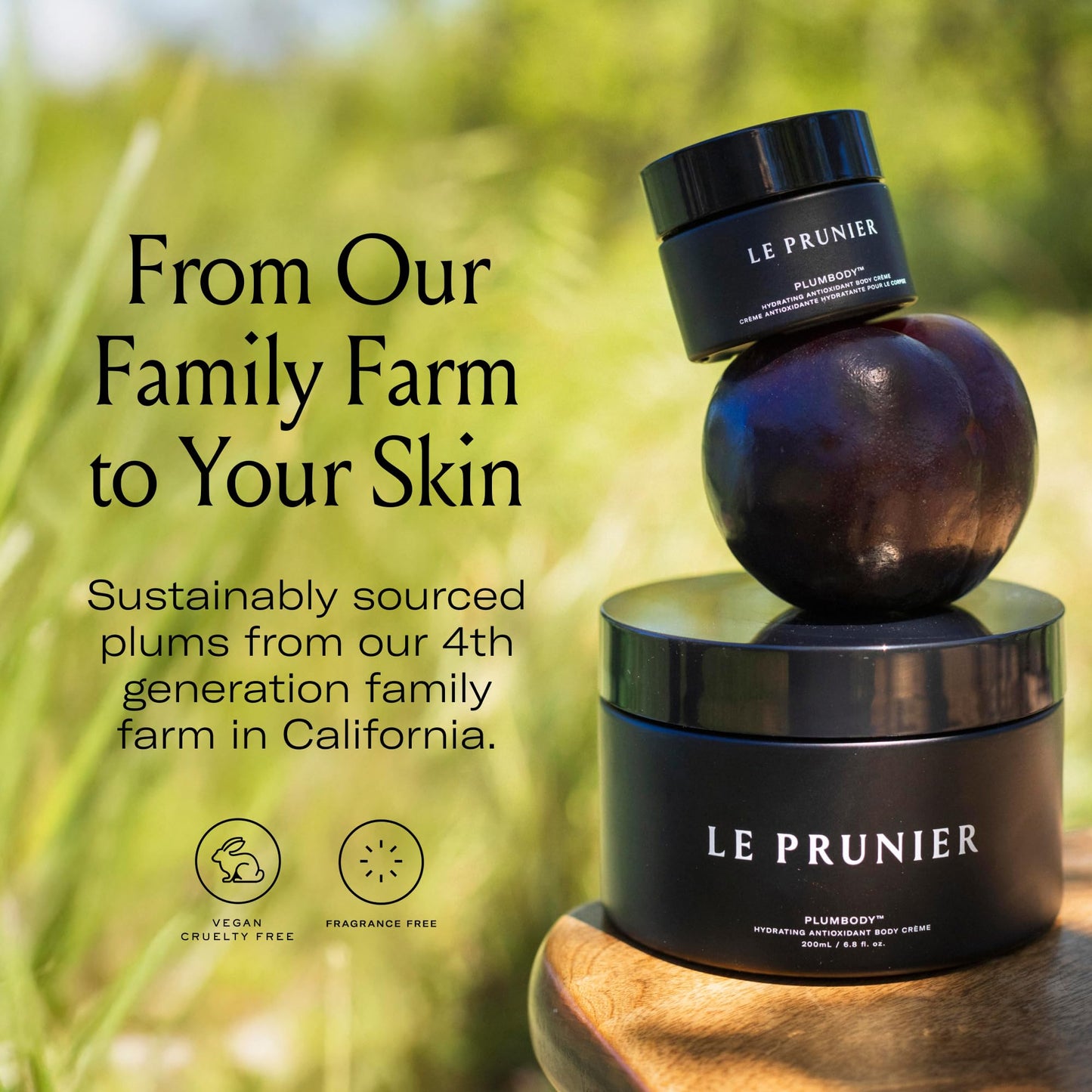 Le Prunier Plumbody™ - Clinically Proven Firming & Hydrating Body Cream with Midnight Muir® Plum Extract | Clean Vegan Antioxidant Body Lotion