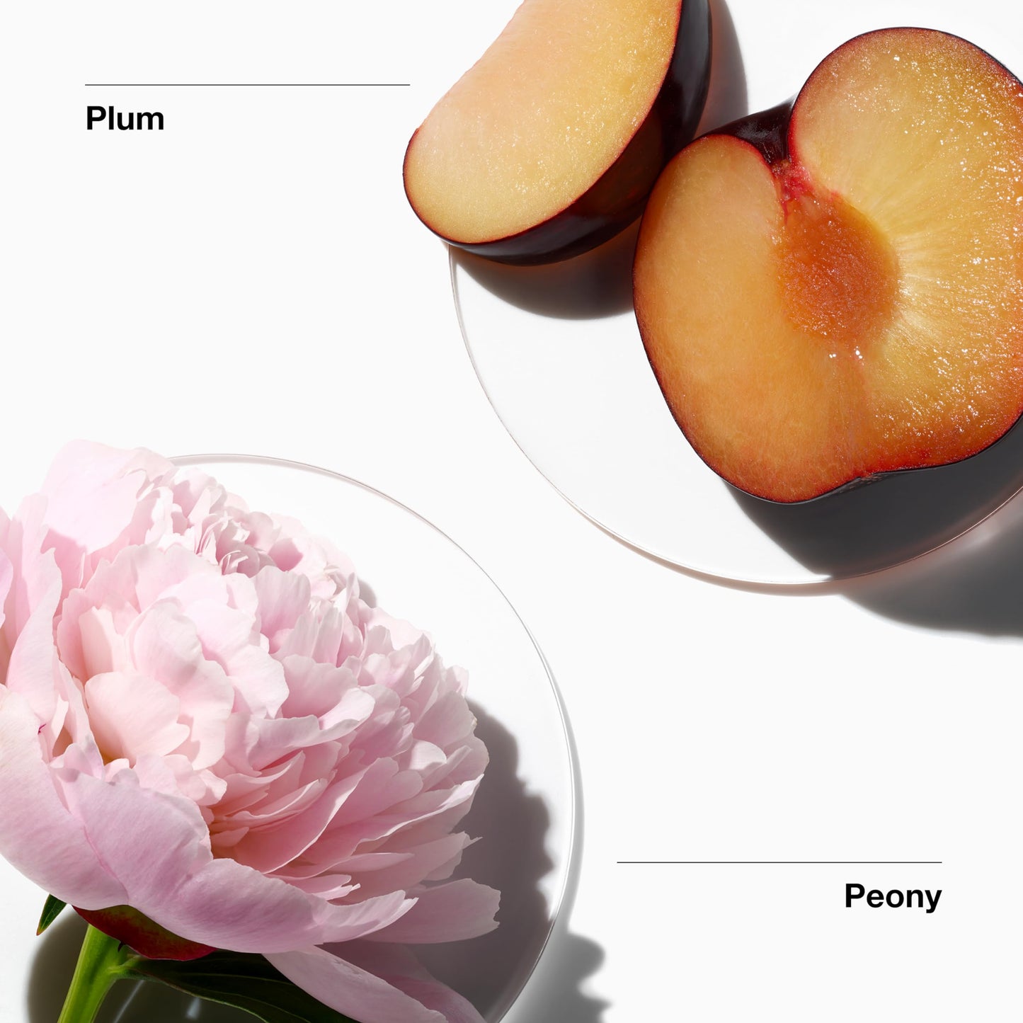 Clinique My Happy Fragrance Spray, Peony Picnic | Notes of Peonies + Succulent Plum | Perfumes for Women, Mini Travel Size, 0.5 Fl Oz