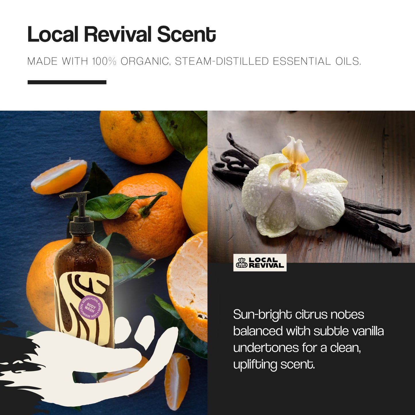 Local Revival Tallow and Honey Body Wash - Signature Blend - Beef Tallow with Honey, Olive Oil, Shea Butter and Jojoba Oil - Moisturizing Body Wash