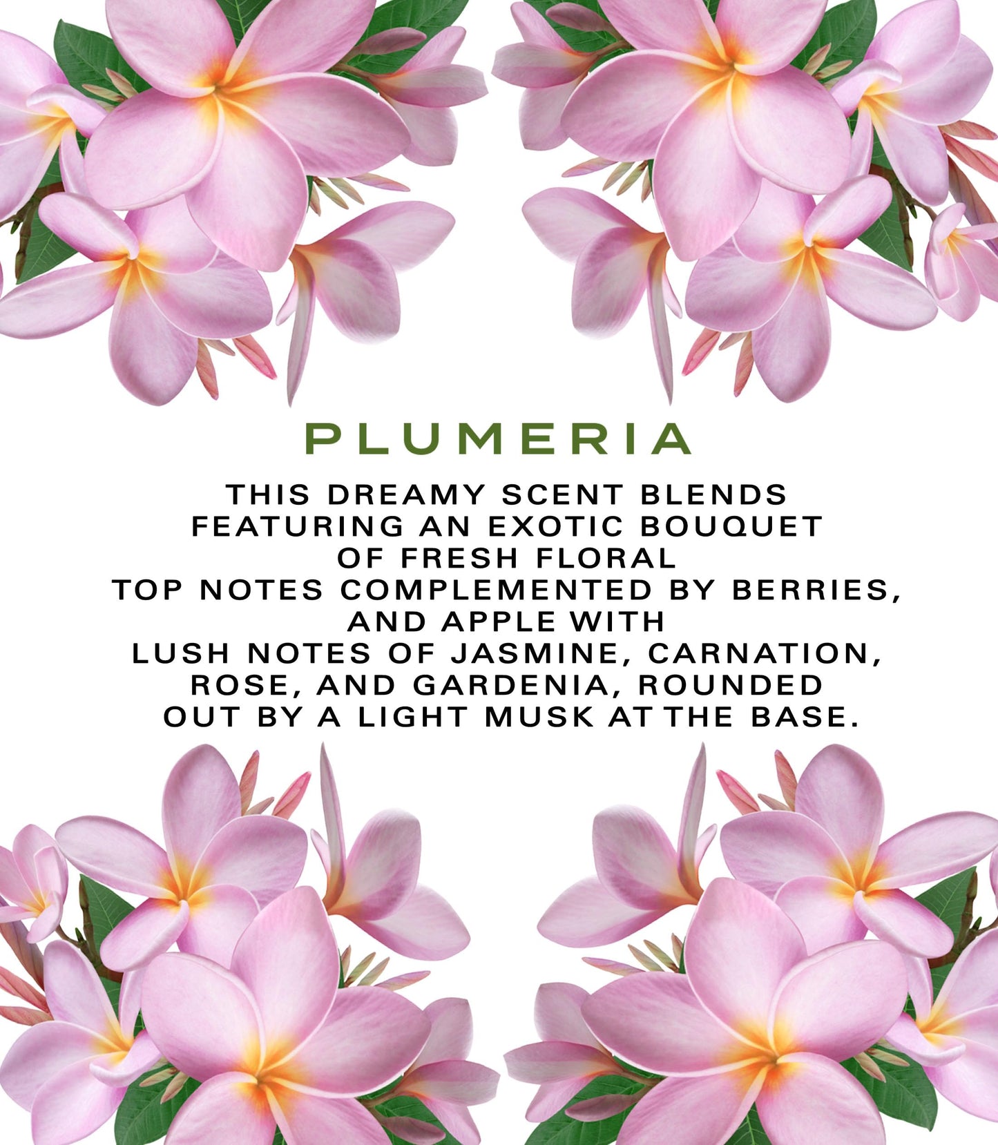 Botanical Beauty PLUMERIA WHIPPED BODY BUTTER with Shea Butter, Cocoa Butter, Coconut Oil for All Skin Types, for Dry, Sensitive Skin. Moisturizing