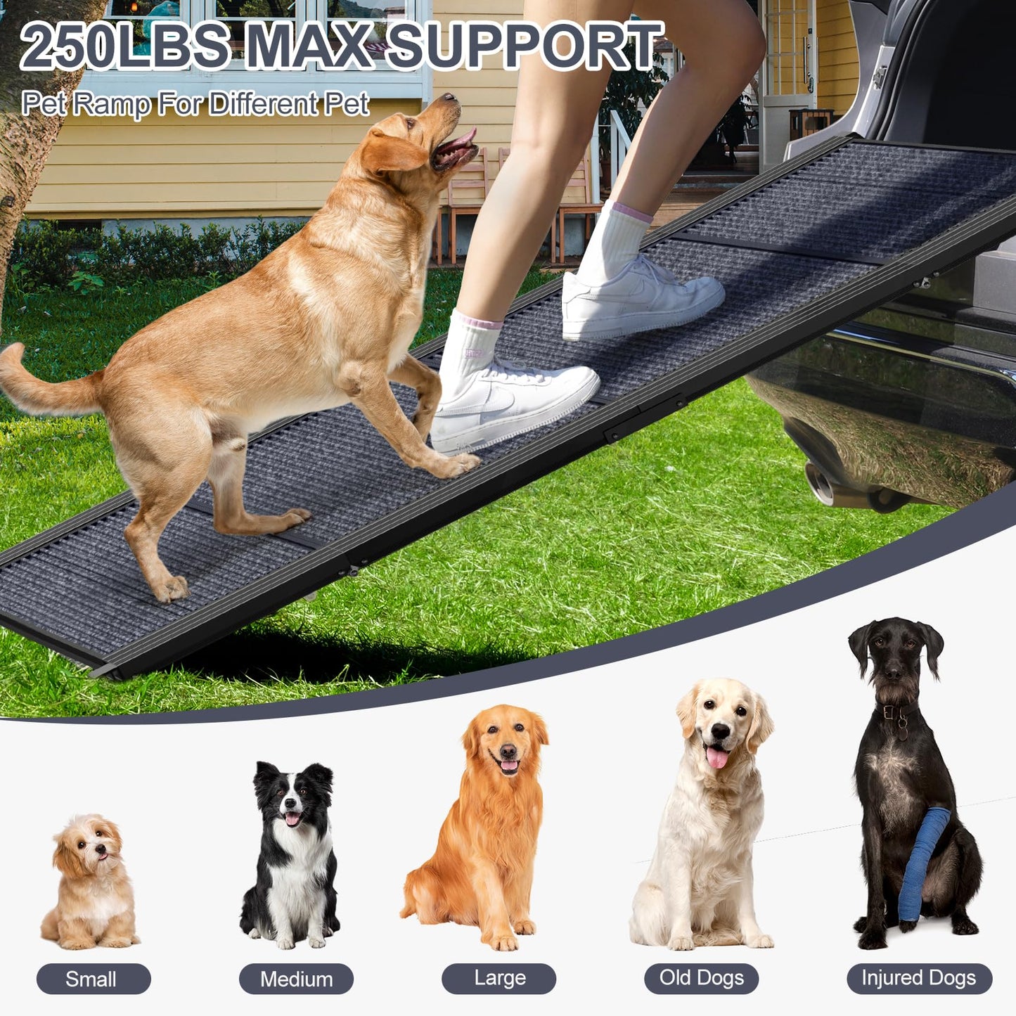 HerCcreta Wigge 63" Portable Dog Ramp – Non-Slip Rug Surface, Folding Car Ramp for Large Dogs, SUVs, Trucks – Supports up to 250 lbs