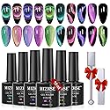 MIZHSE 9D Cat Eye Gel Nail Polish, Magnetic Cat Eye Gel Polish Set, 10ml*6 with 2 Magnets, Classic Colors Chameleon Magic Galaxy Effect Soak off Nail