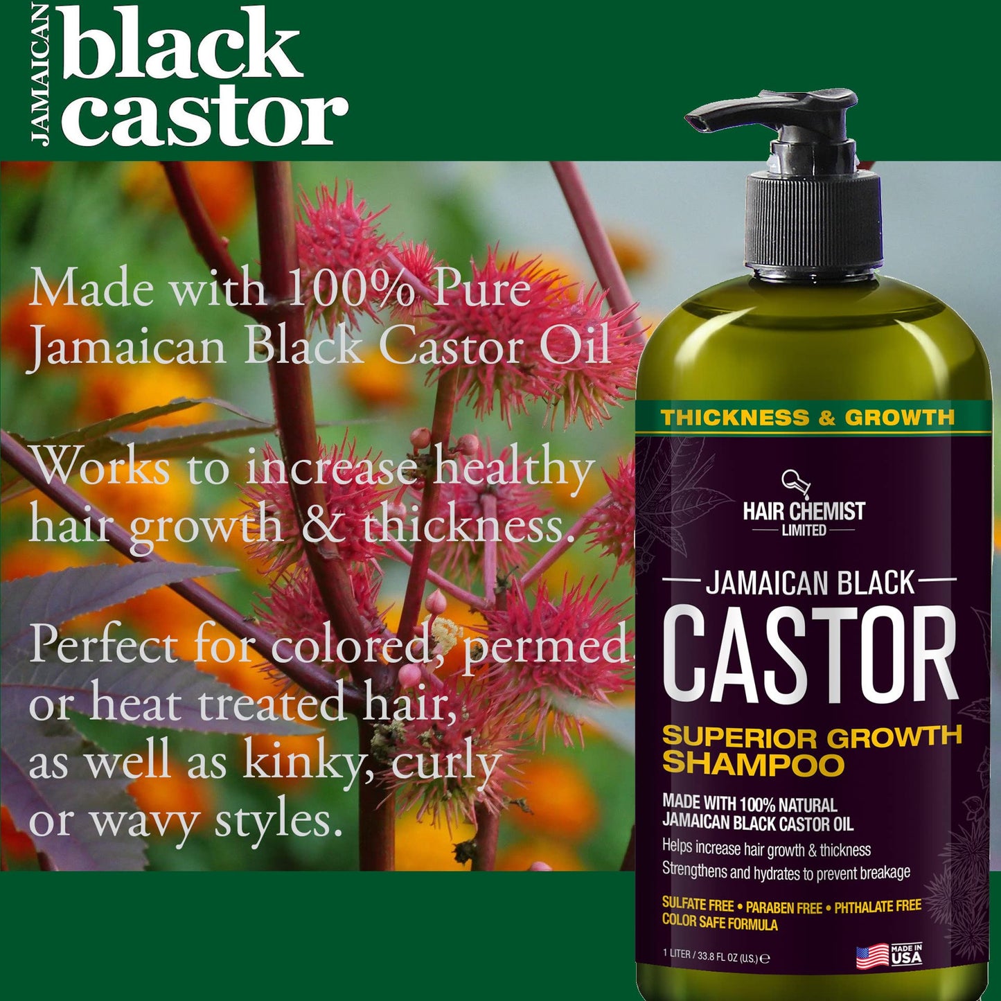 Hair Chemist 2-PC Shampoo & Conditioner Gift Box - Jamaican Black Castor Oil for Hair Growth & Thickness - Sulfate Free, Paraben Free & Phthalate Free