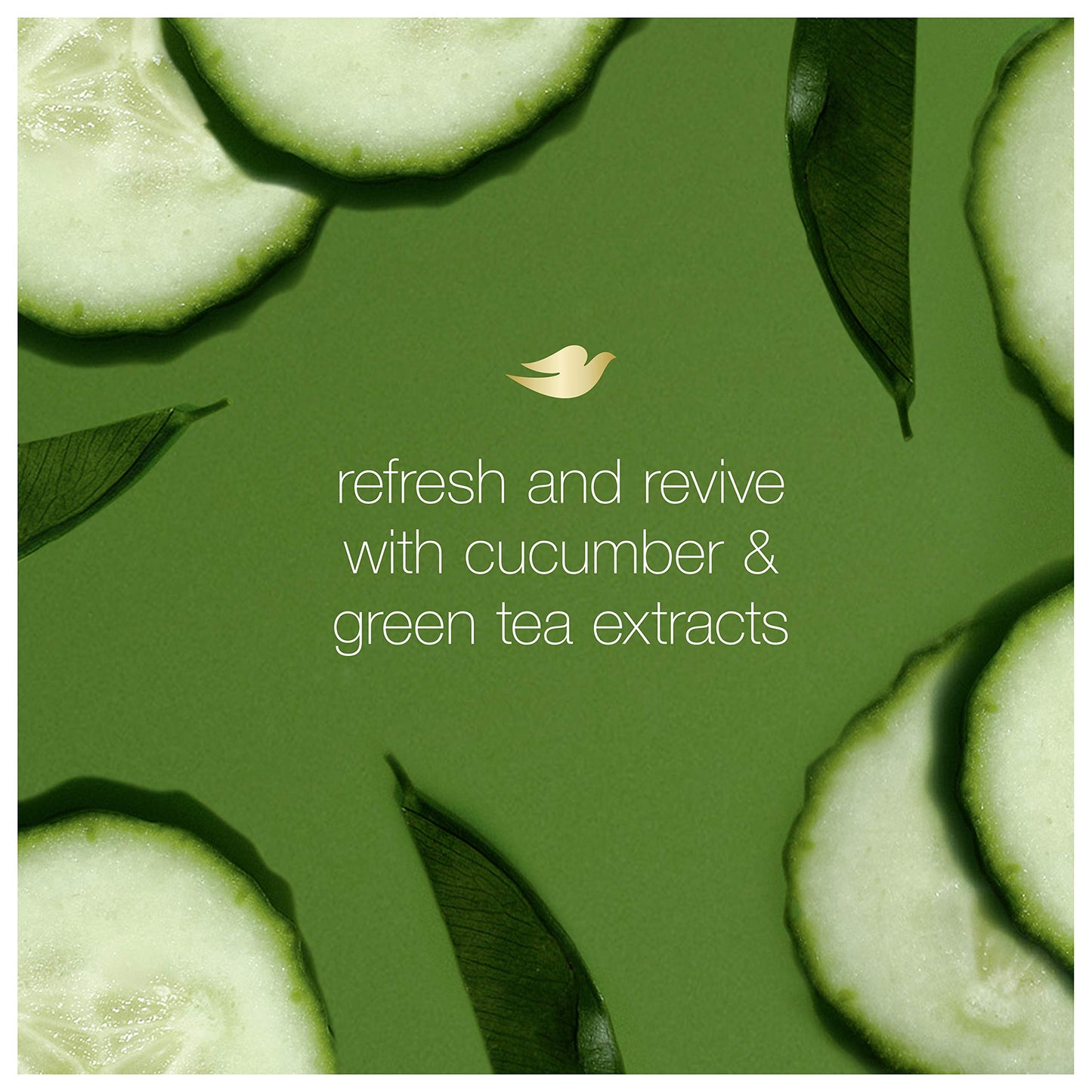 Dove go fresh Refreshing Body Wash Revitalizes and Refreshes Skin Cucumber and Green Tea Effectively Washes Away Bacteria While Nourishing Your Skin Beauty & Personal Care Dove