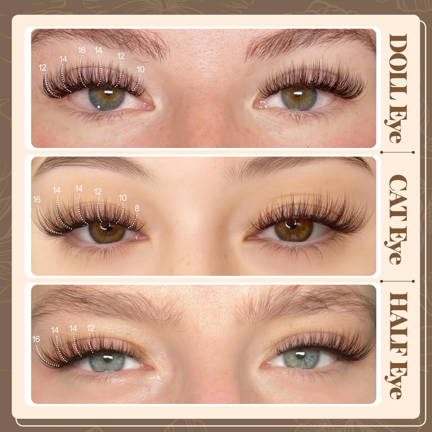 Brown Lash Clusters Wispy Eyelash Clusters Natural Cluster Eyelash Extensions C Curly Lashes Clusters Dark Brown Individual Lashes by Lanflower Beauty and Personal Care LANFLOWER