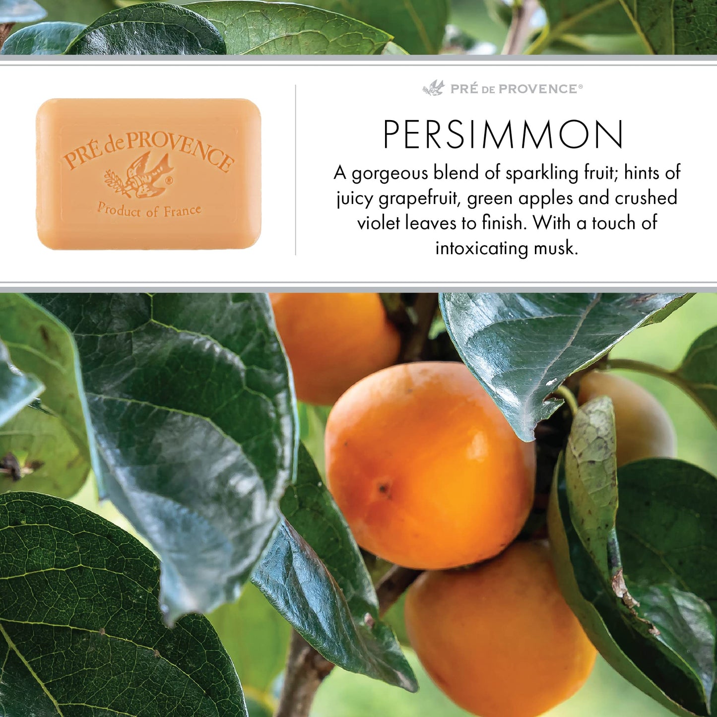Pre de Provence Artisanal Soap Bar, Enriched with Organic Shea Butter, Natural French Skincare, Quad Milled for Rich Smooth Lather, 8.8 Ounce