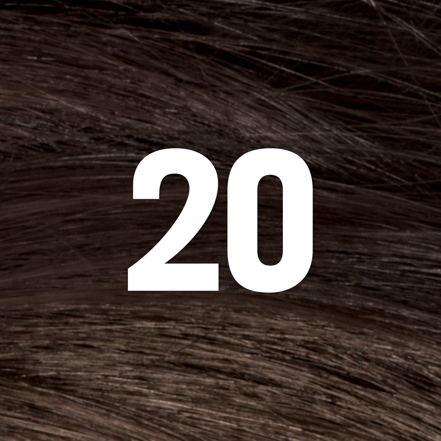 Revlon ColorSilk with Bond Repair Complex, Black Permanent Hair Color, 100% Gray Coverage, Ammonia Free Hair Dye, Vegan Keratin, 20 Brown Black (Pack