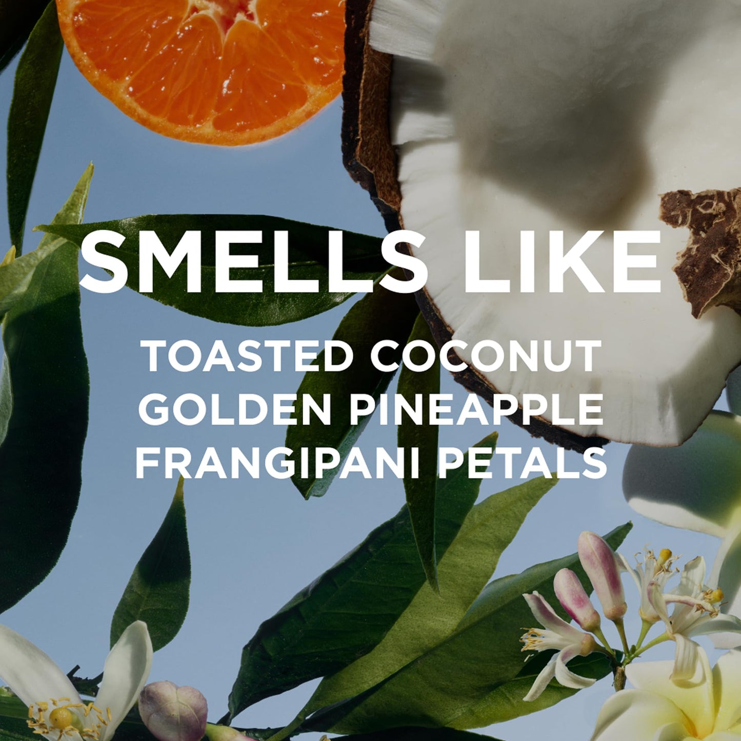 By Rosie Jane Eau De Parfum Travel Spray (Missy) - Clean Perfume for Women - Notes of Coconut, Green Mandarin, Pineapple and Frangapani Beauty & Personal Care By Rosie Jane