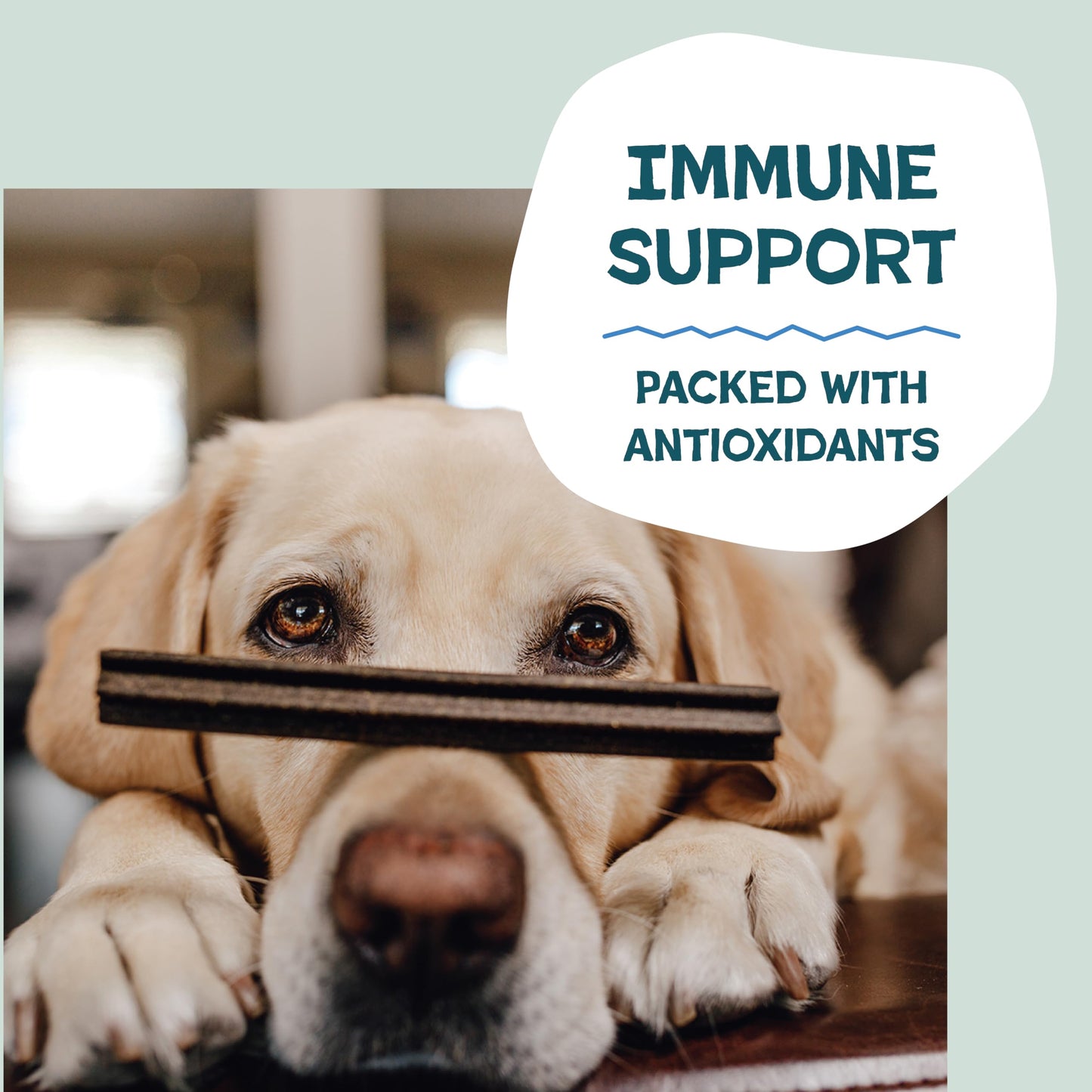 Shameless Pets Dental Treats for Dogs – Tooth Berry Sticks for Teeth Cleaning, Fresh Breath & Immune Support, Grain-Free