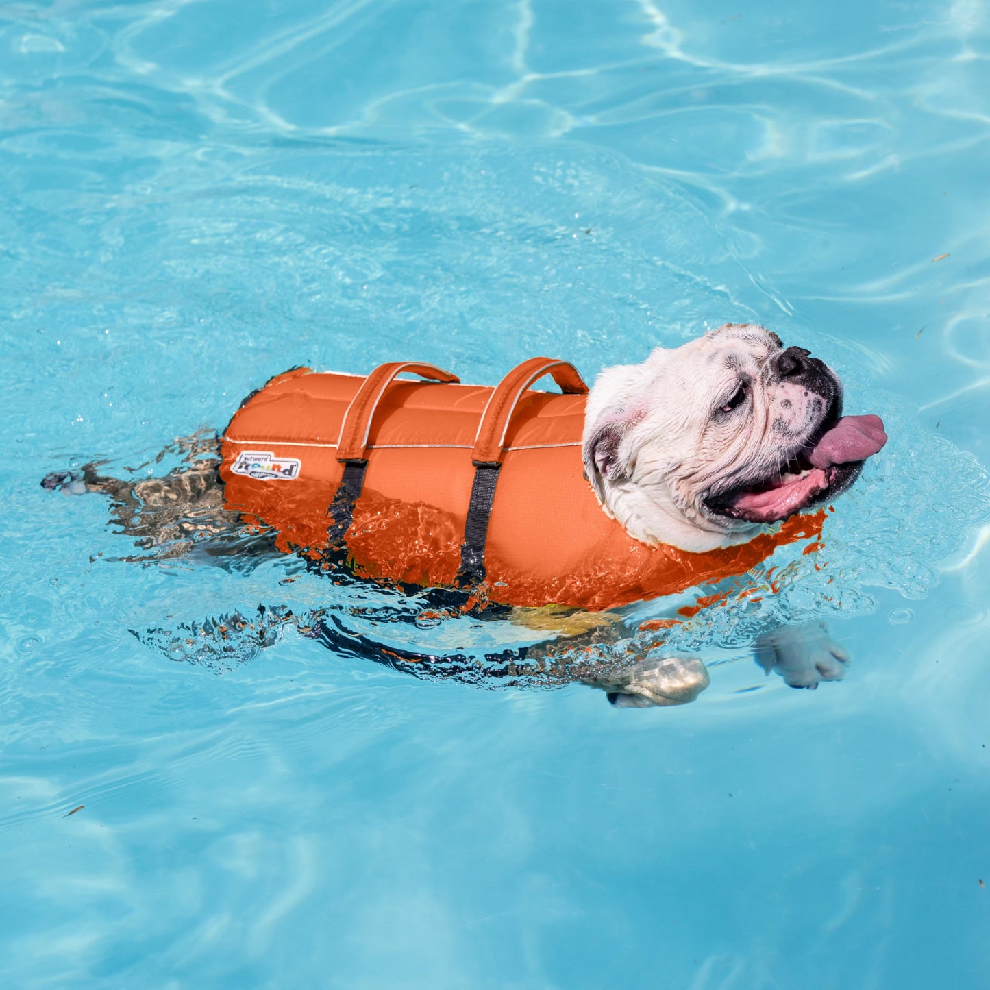 Outward Hound Granby Splash Dog Life Jacket - High Buoyancy Life Vest for Swimming & Boating, Water Safety, Large, Bright Orange