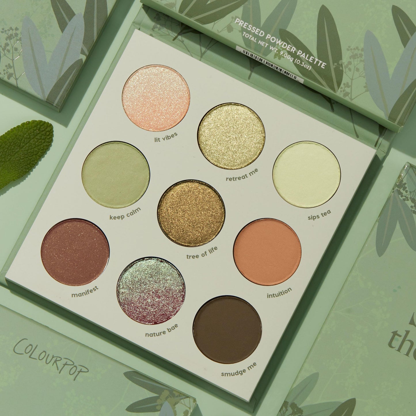ColourPop Sage the Day Eyeshadow Palette - Sage & Olive Palette with Metallic and Matte Finishes - High-Pigment Eye Makeup with a Long-Wearing Formula
