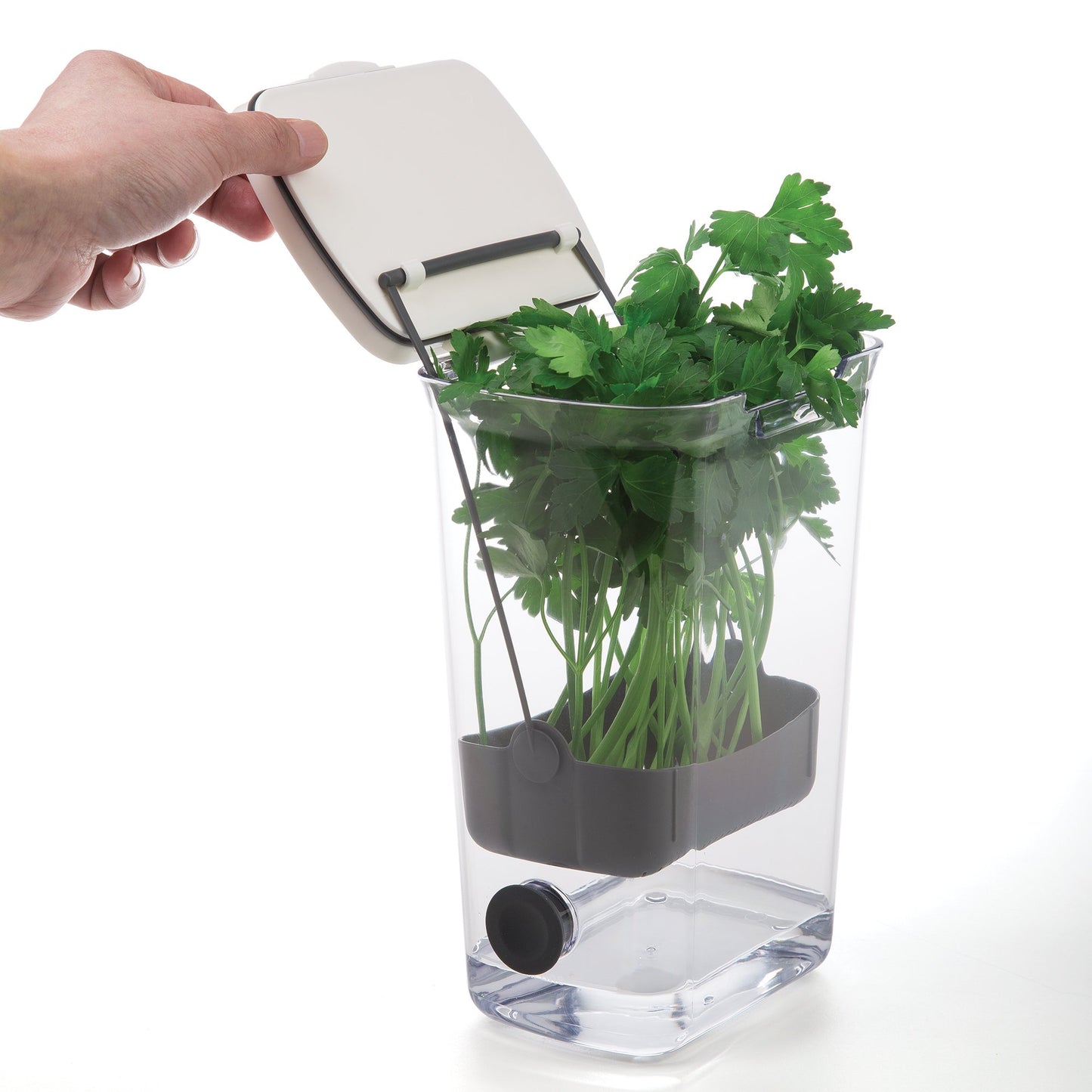 ProKeeper Herb Keeper - White, with Removable Silicone Drain Plug, BPA-Free Plastic