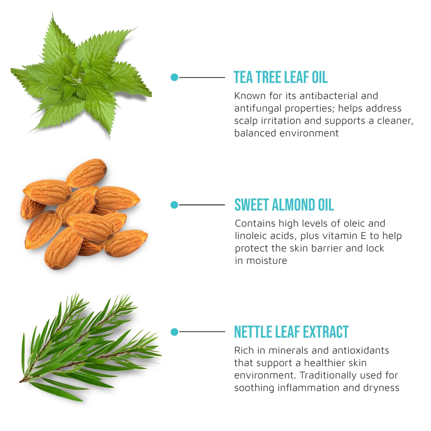 KISS COLORS & CARE Tea Tree Multivitamin Oil for Hair & Skincare, Infused with Biotin, Vitamin E and Natural Oils for Long-Lasting Hydration