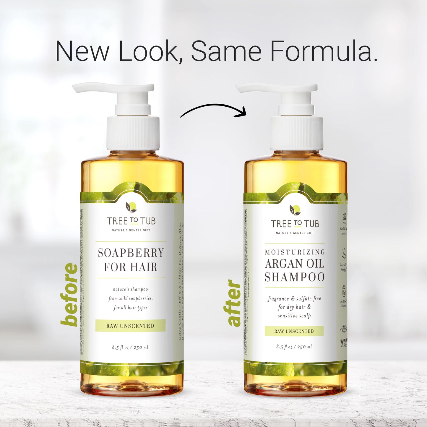 Tree to Tub Fragrance Free Shampoo for Dry & Sensitive Scalp - Gentle Unscented Hydrating Hair Shampoo for Women & Men, Moisturizing Sulfate Free